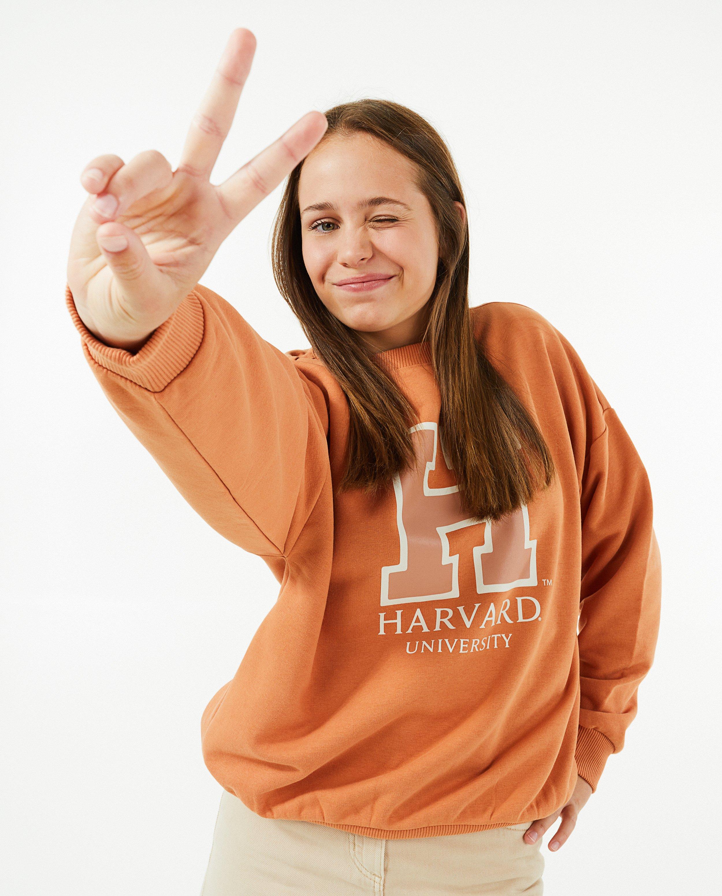 Sweaters - Oranje 'Harvard'-sweater