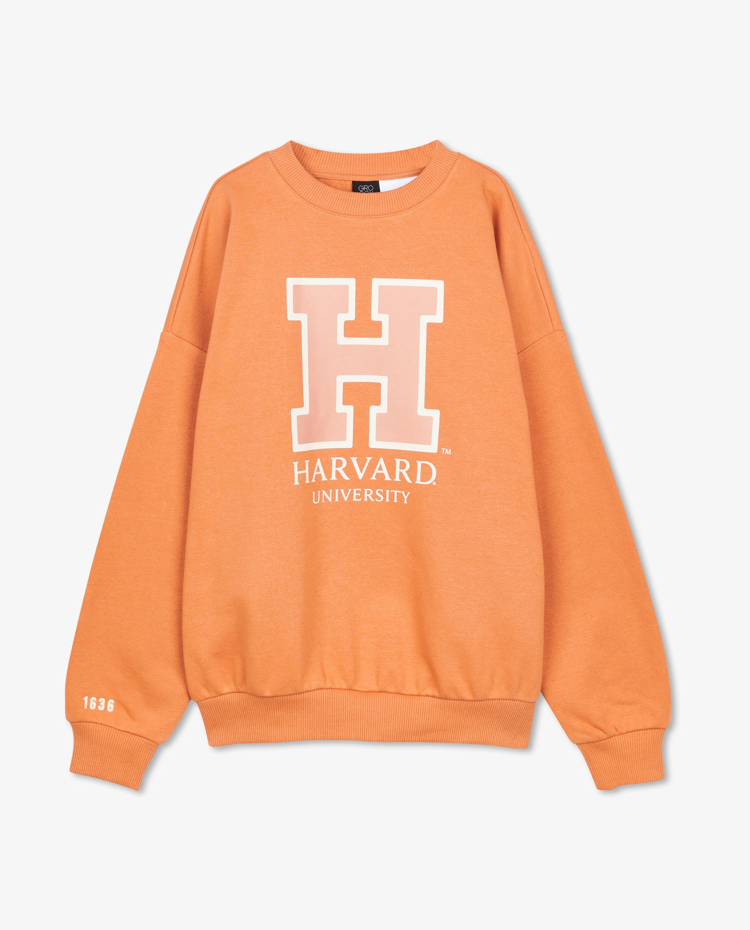 Sweaters - Oranje 'Harvard'-sweater