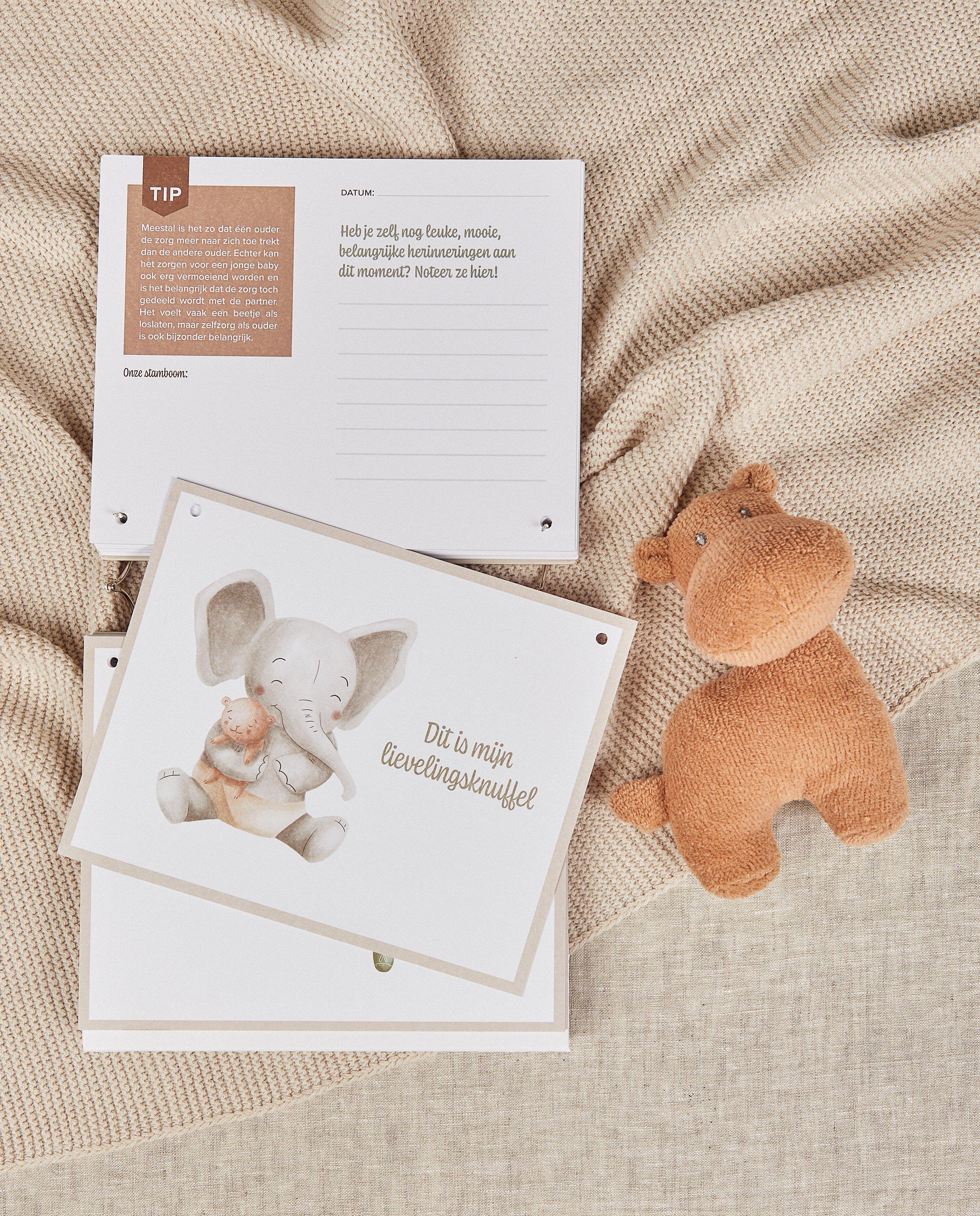 Gadgets - Mijn grote mijlpalenboek Mama Baas