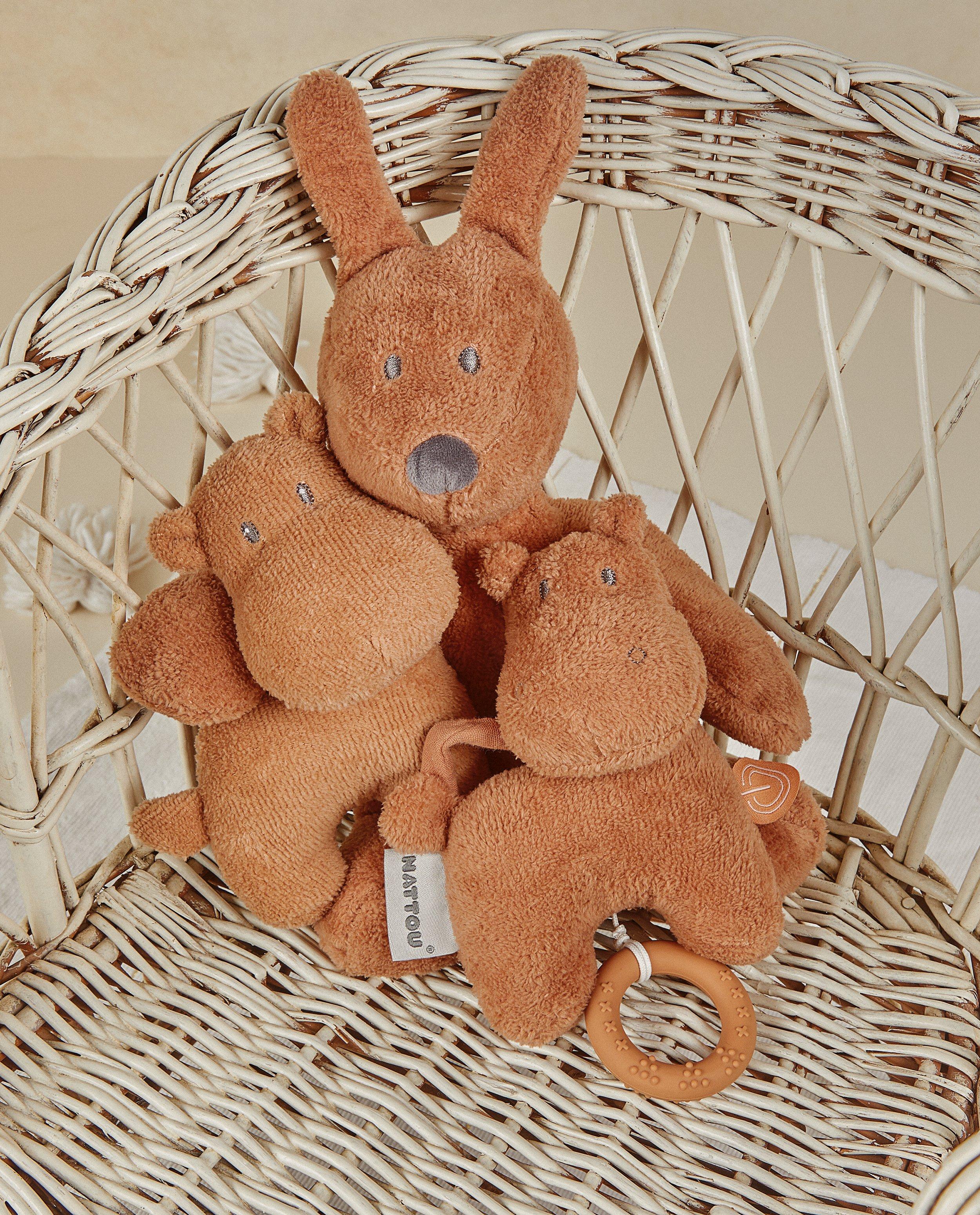 Cadeaux - Doudou et hochet Nattou