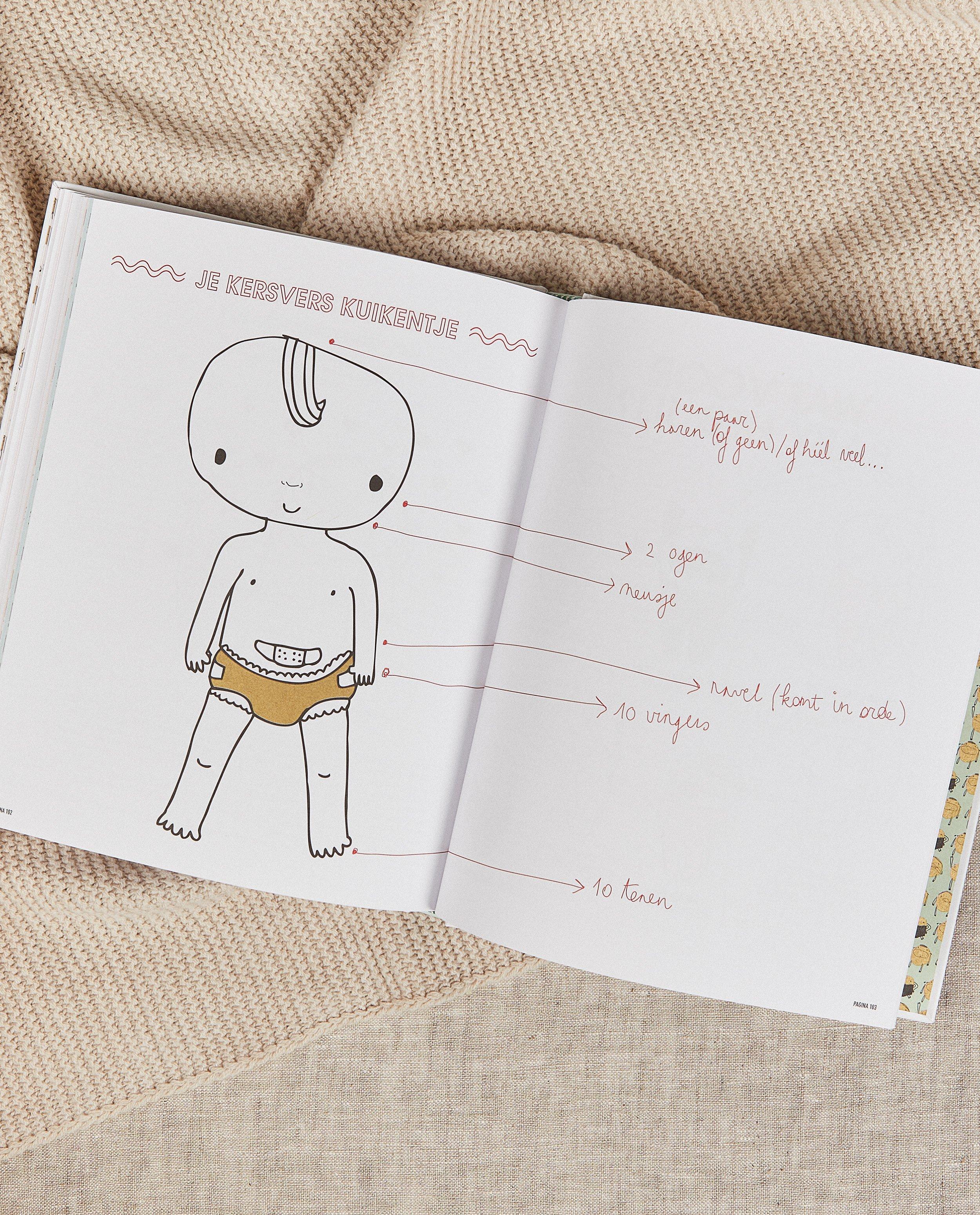 Gadgets - Boek 'Ik word mama'