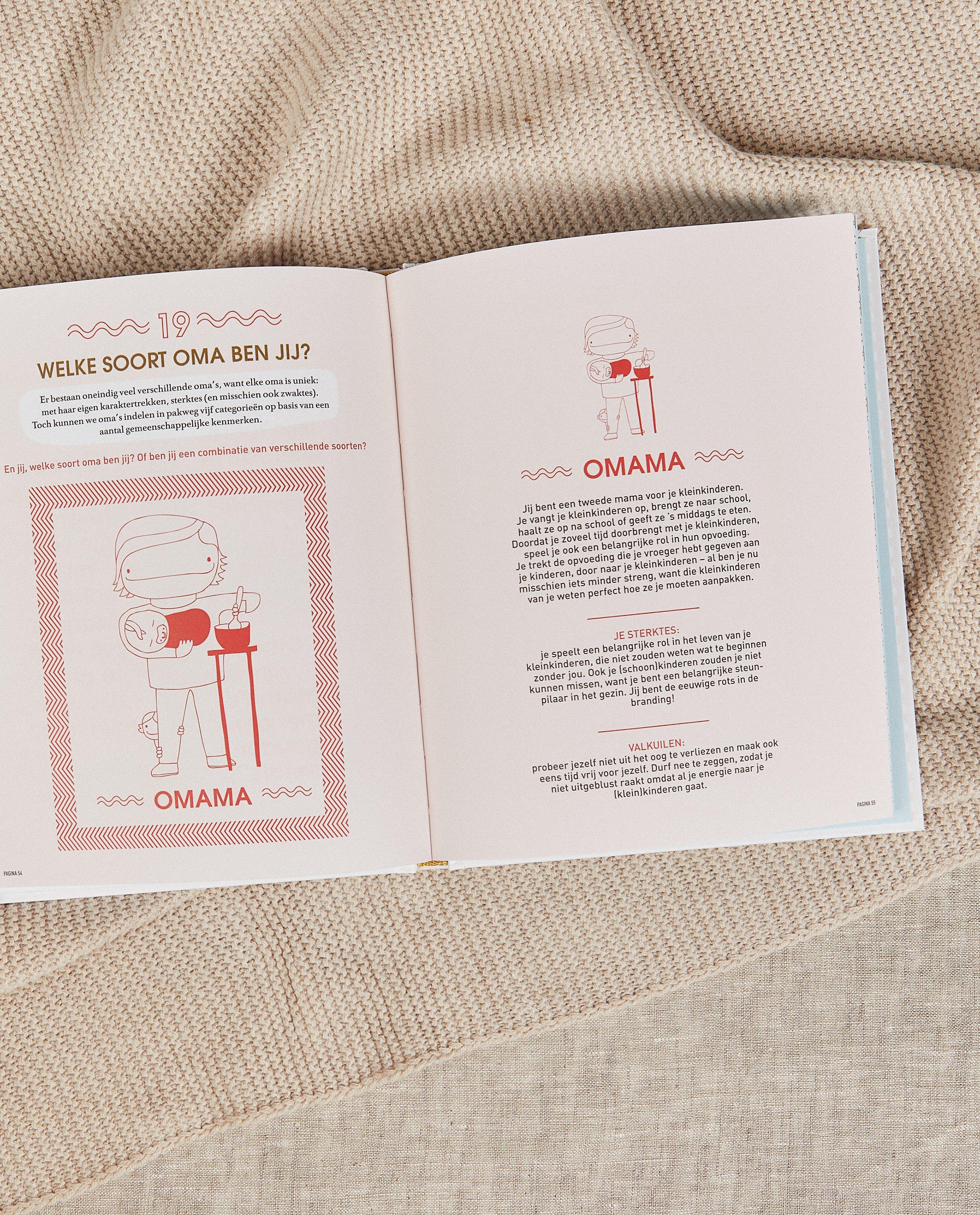 Gadgets - Boek 'Ik word mama'