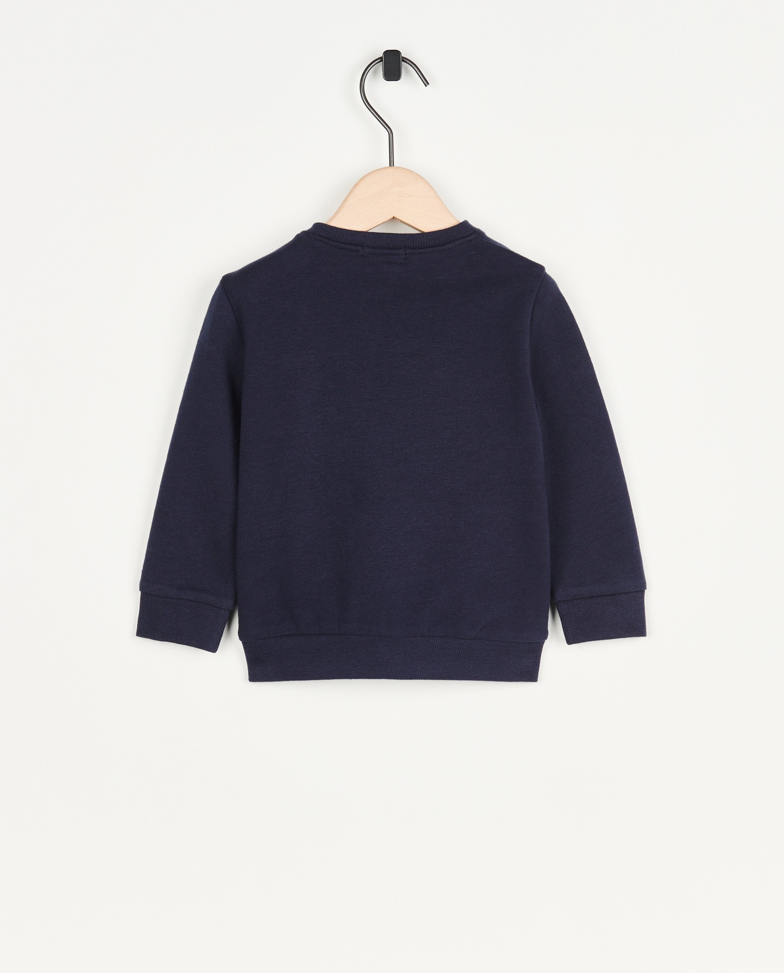 Sweaters - Blauwe sweater met opschrift (NL)