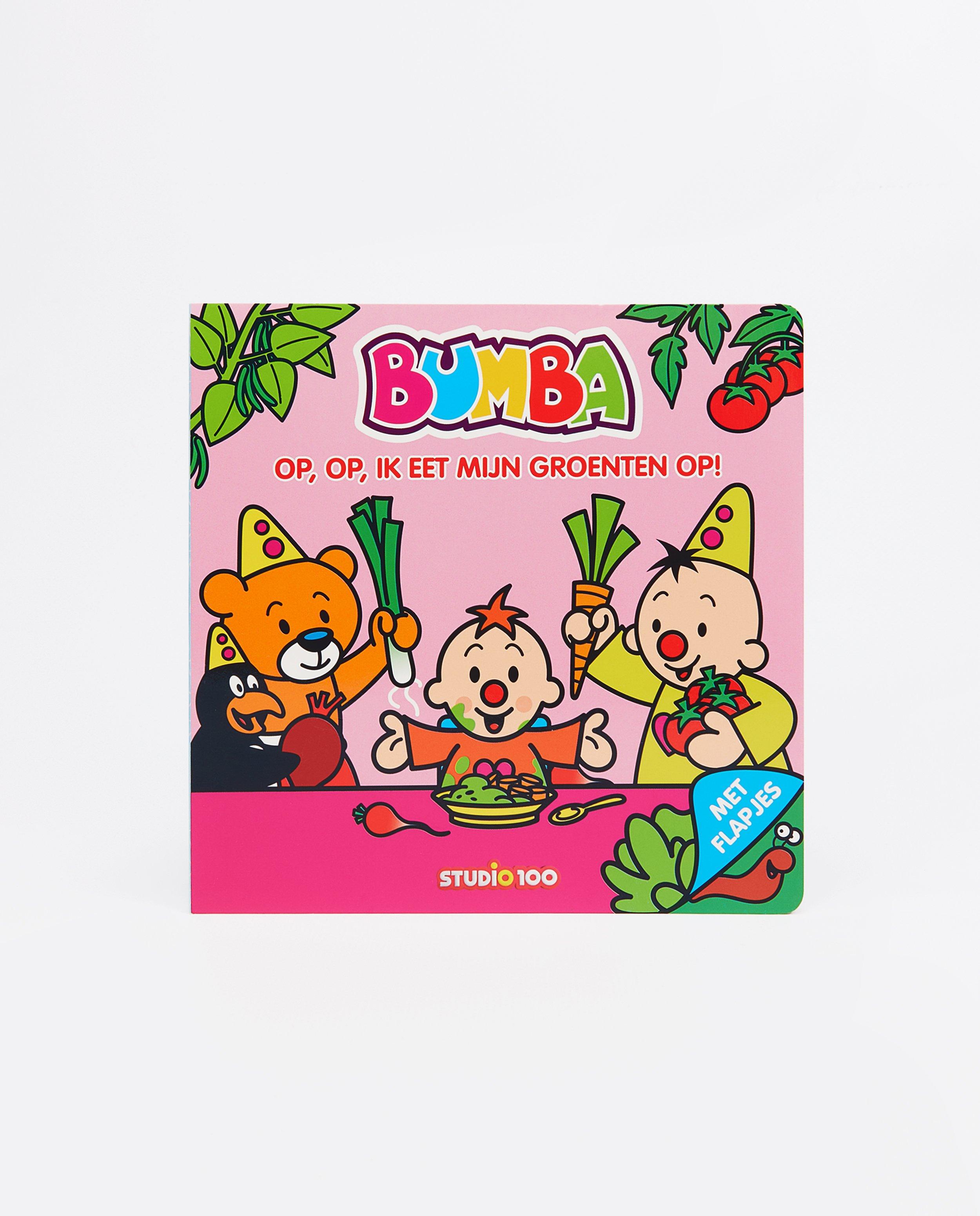 Voorleesboek van Bumba - null - Bumba