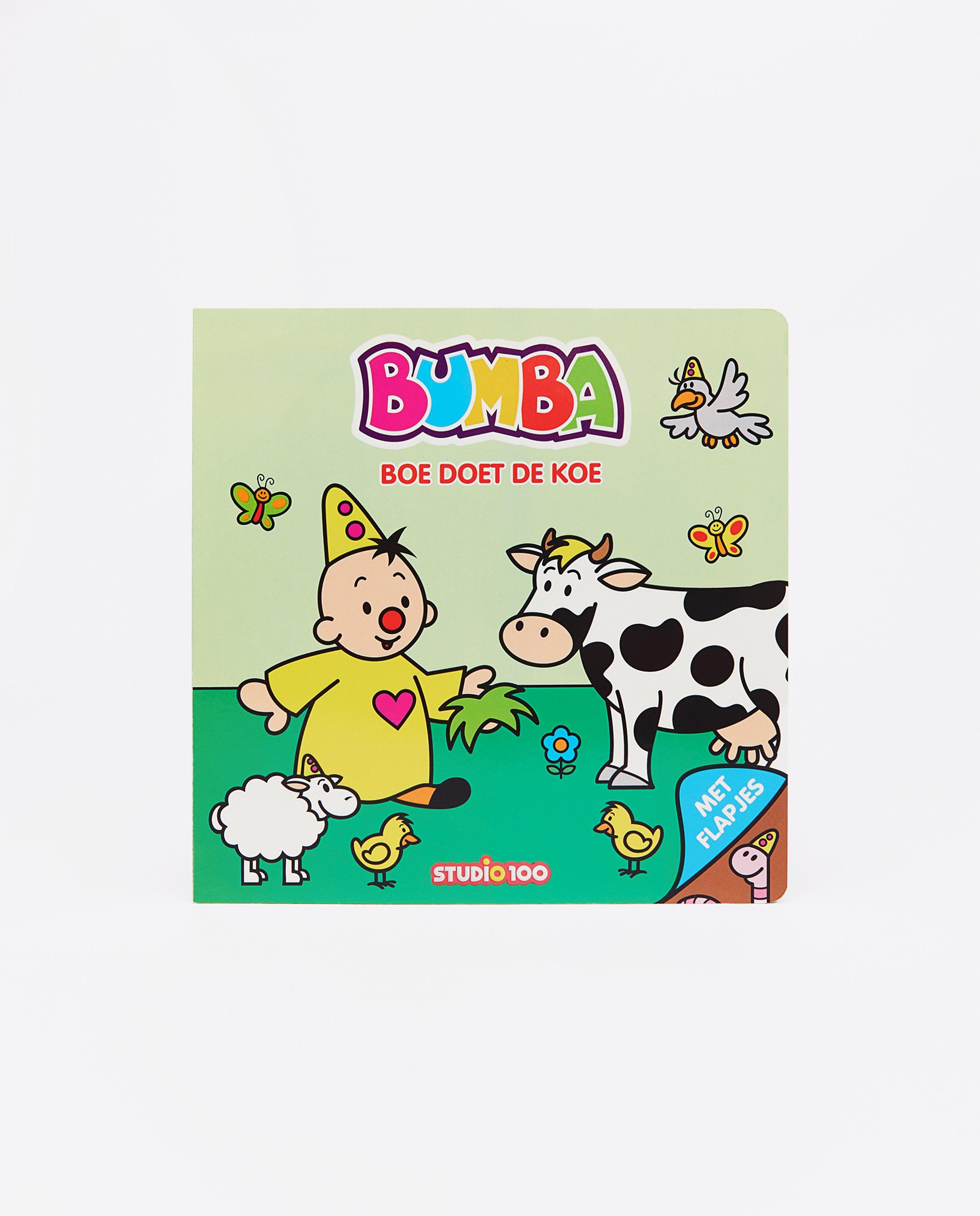 Voorleesboekje van Bumba - null - Bumba