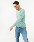 Truien - Lichtblauwe trui met borduursel