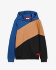 Sweaters - Hoodie met color block