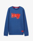 Sweaters - Blauwe sweater met print