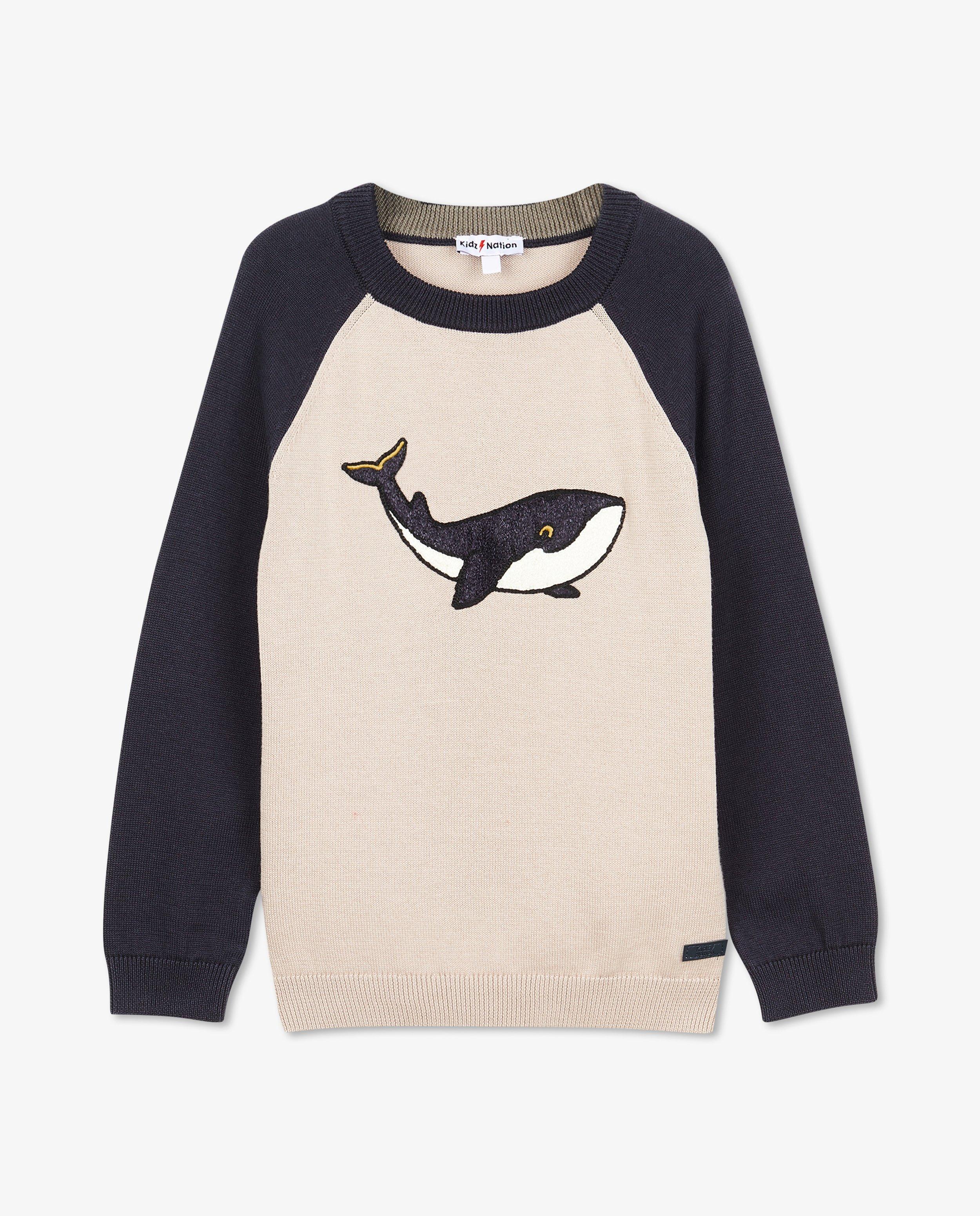 Truien - Color block-trui met print