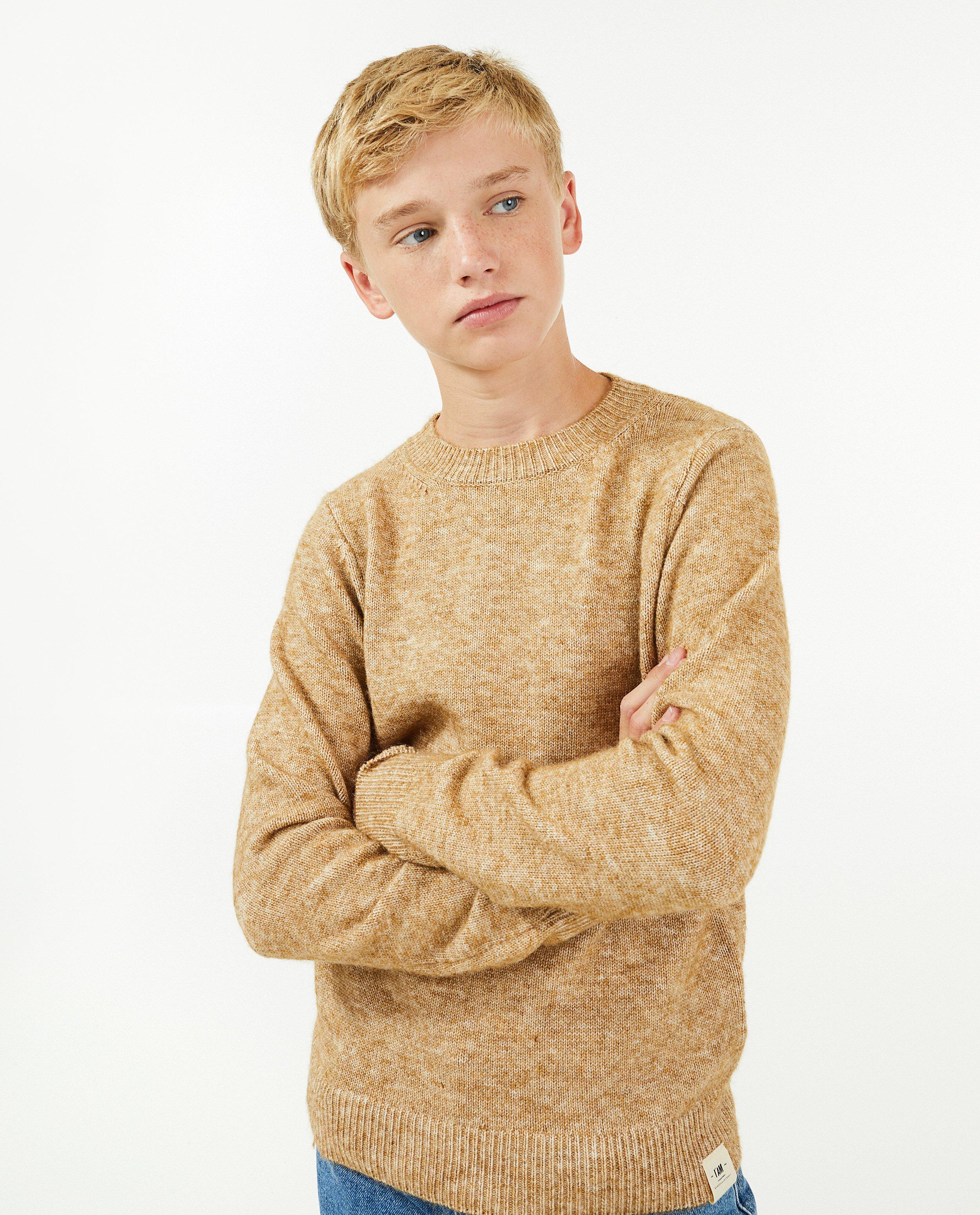 Truien - Gemêleerde trui in beige
