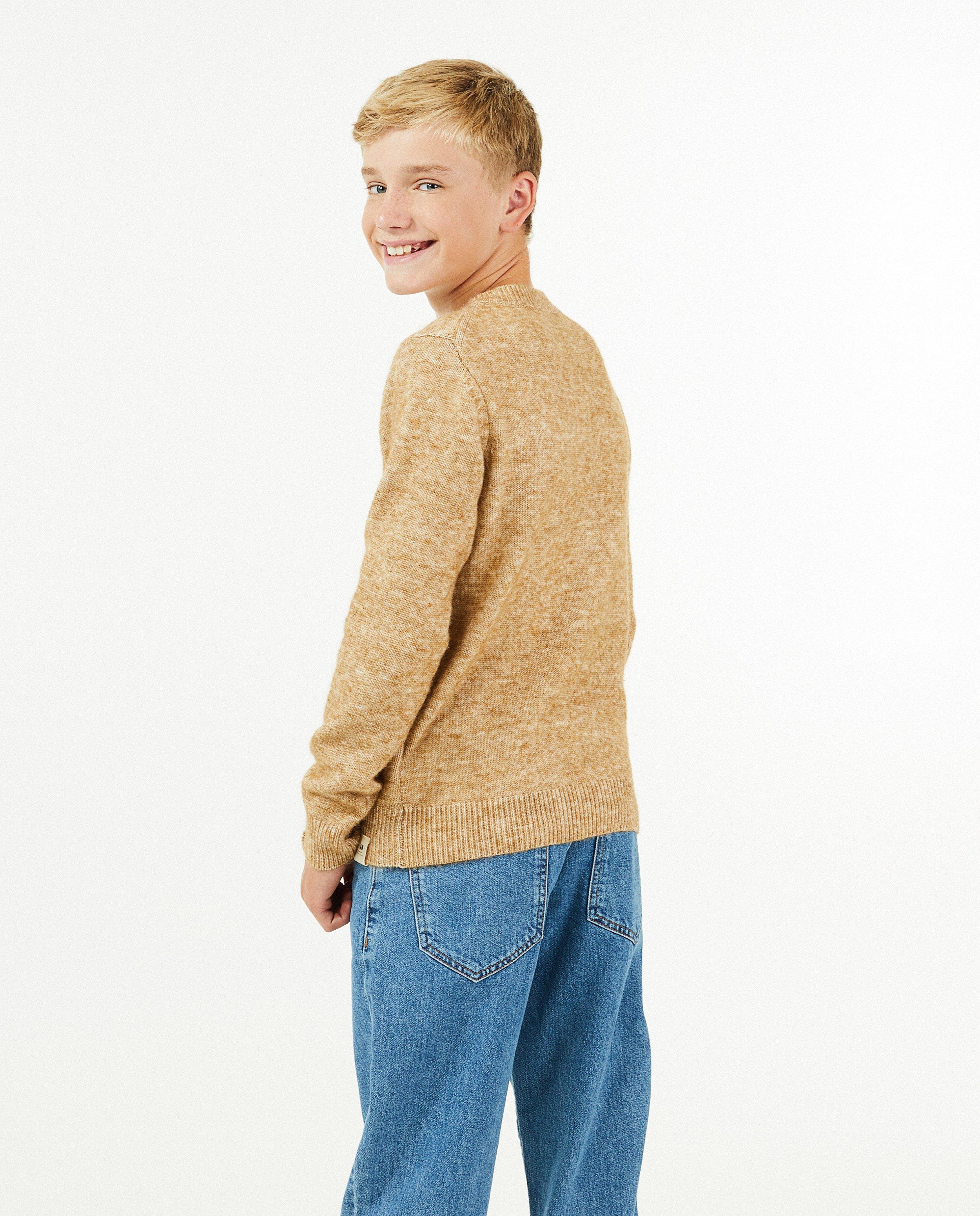 Truien - Gemêleerde trui in beige