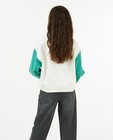 Sweaters - Offwhite sweater met contrastmouwen