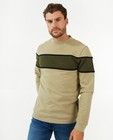 Sweaters - Groene sweater met strepen