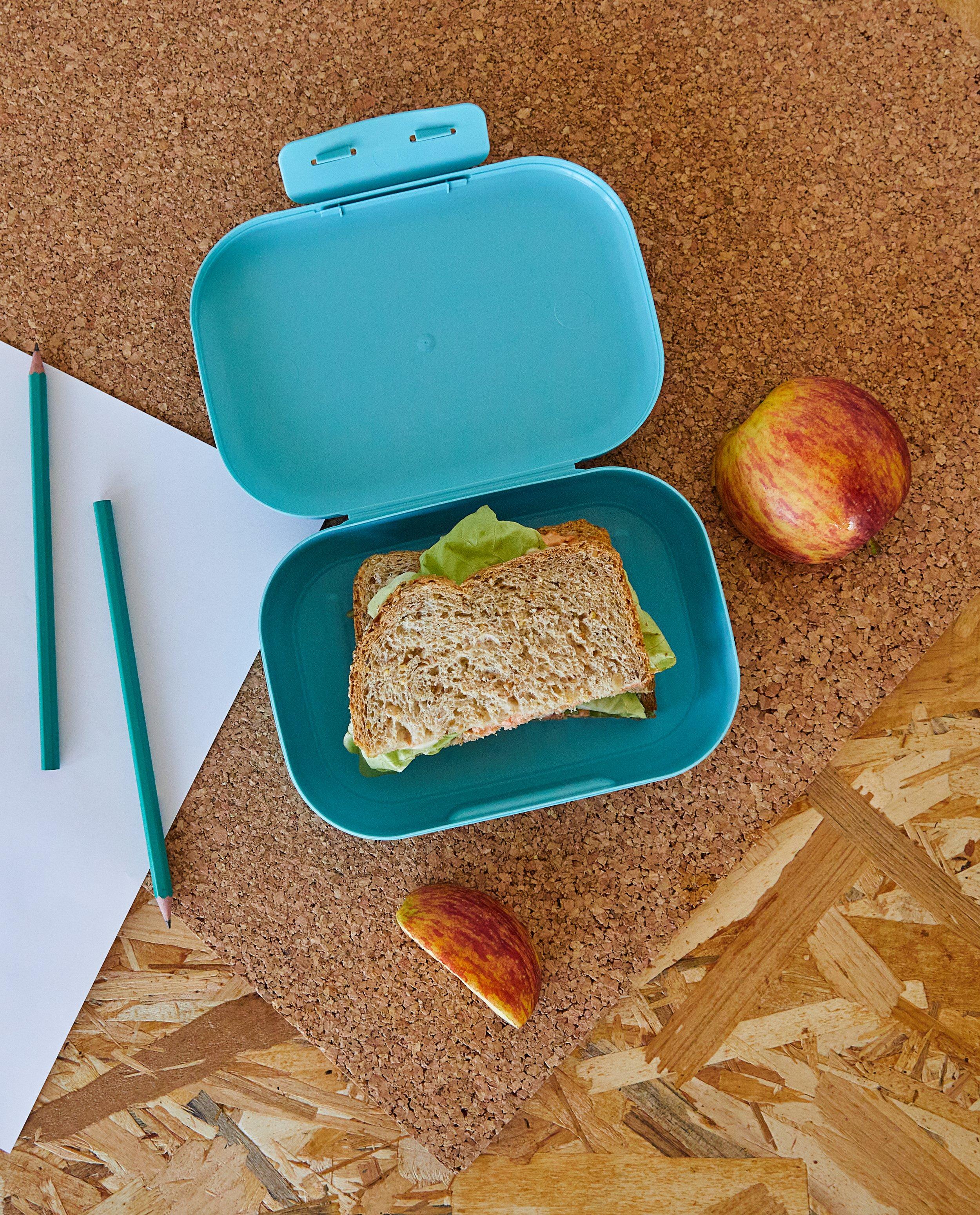 Gadgets - Lunchbox Amuse Your Day