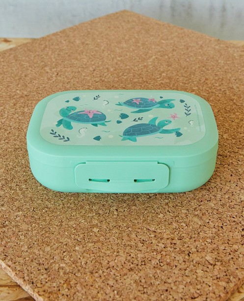 Gadgets - Lunchbox Amuse Your Day