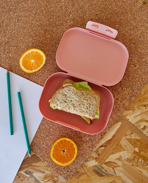 Gadgets - Lunchbox Amuse Your Day