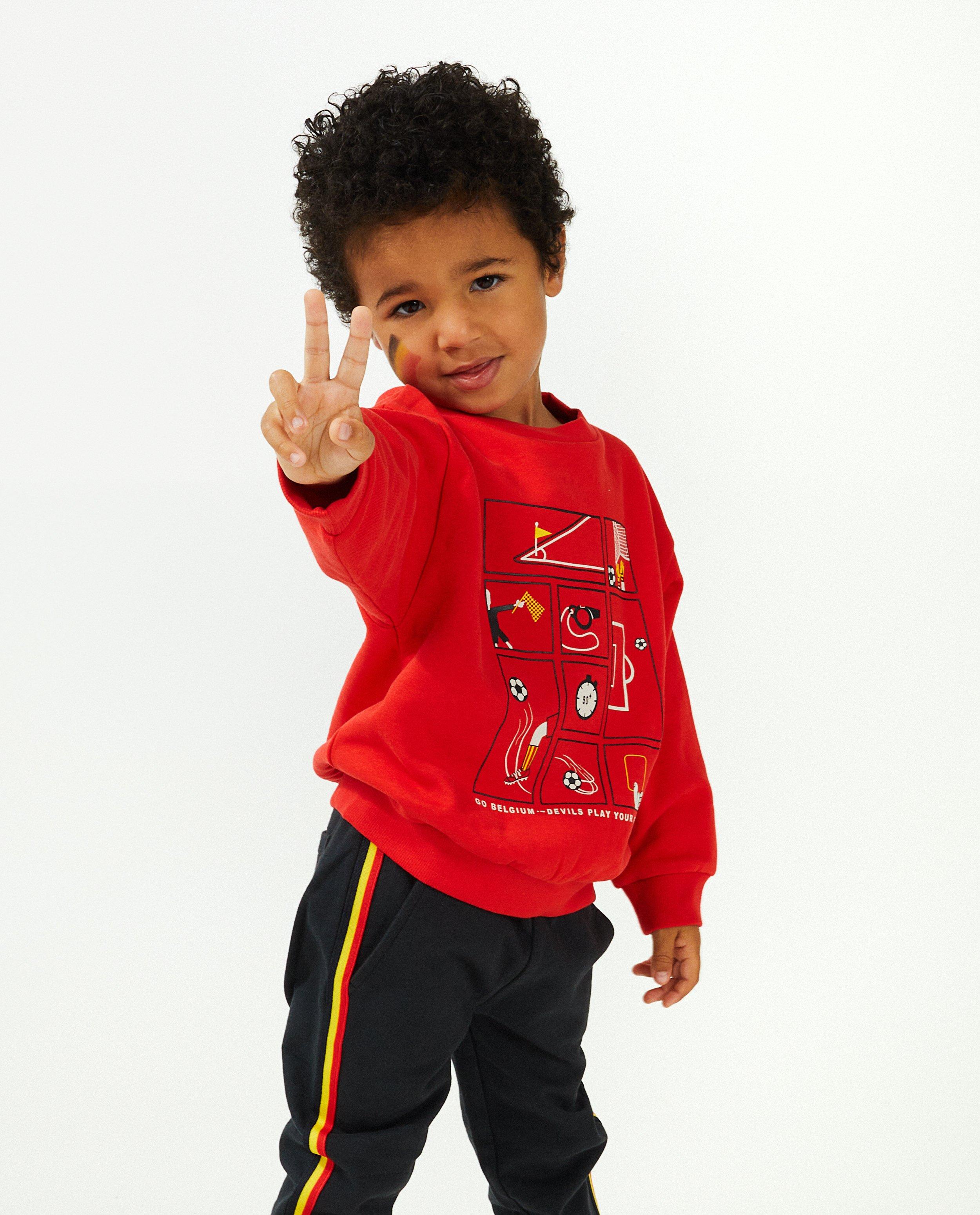 Sweaters - Sweater met print, 2-7 jaar