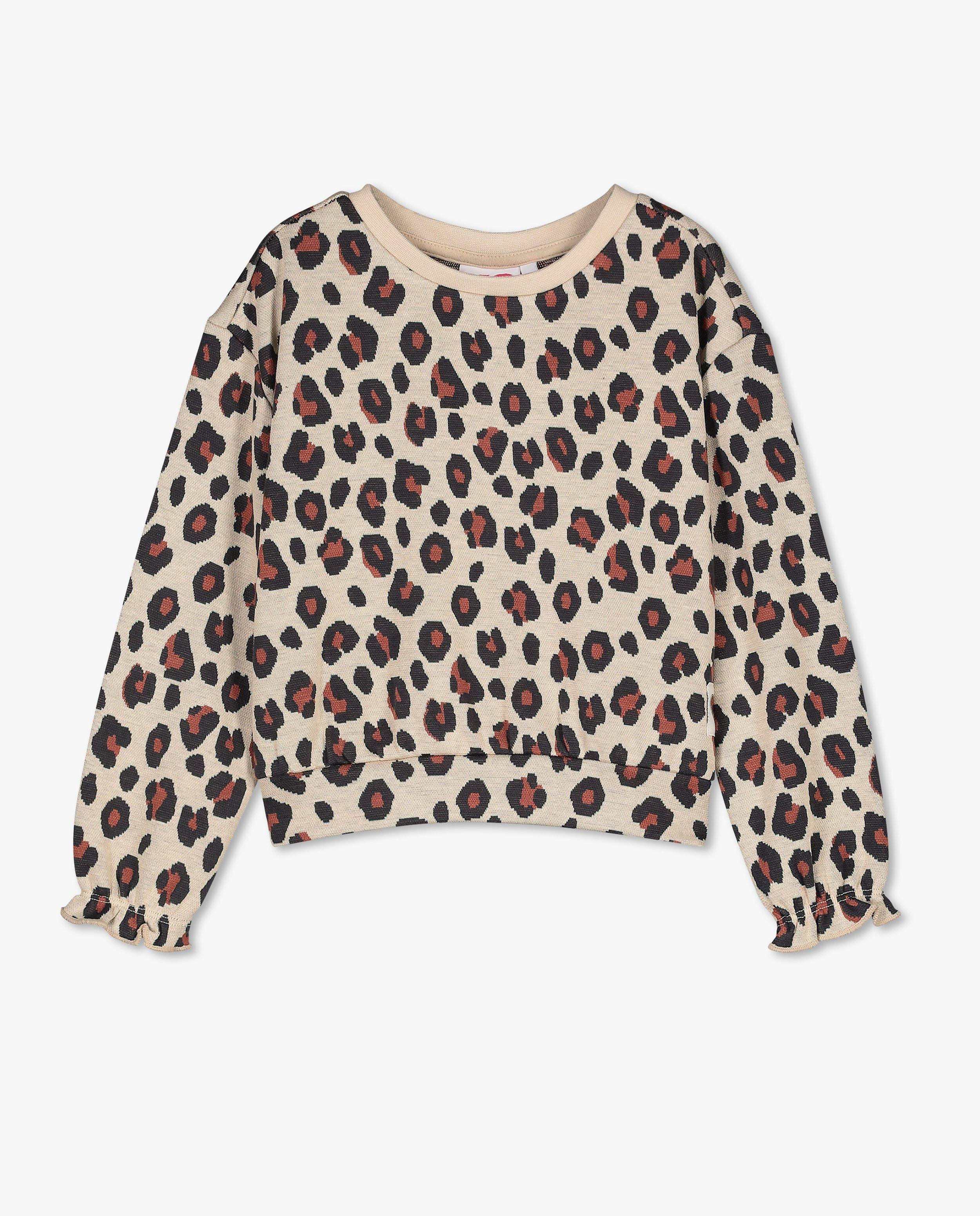 Sweaters - Sweater met luipaardprint