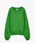 Sweaters - Groene sweater, dames