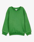 Sweaters - Groene sweater, 2-7 jaar