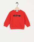 Belgium-sweater, baby - null - Familystories