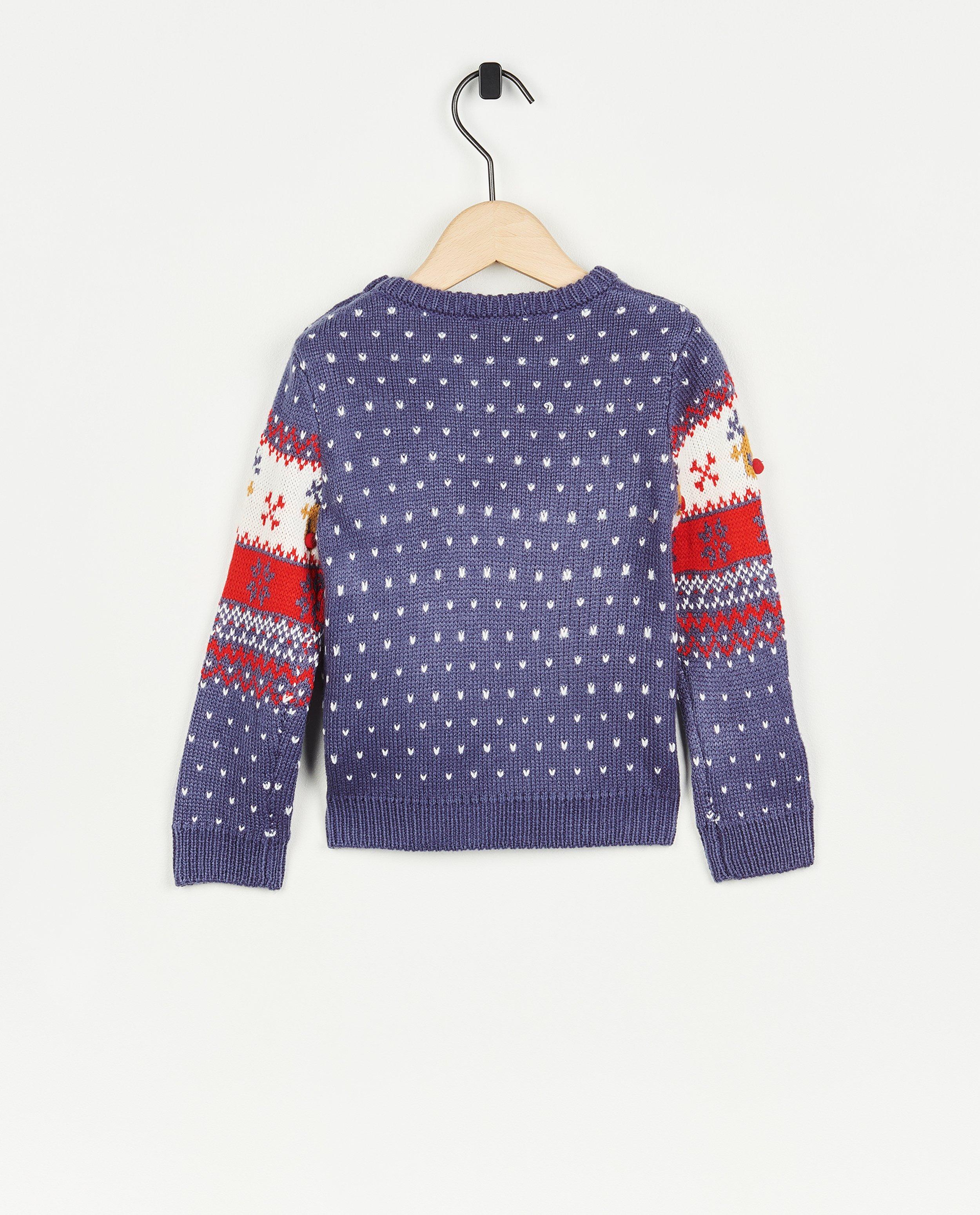 Truien - Blauwe kersttrui, baby
