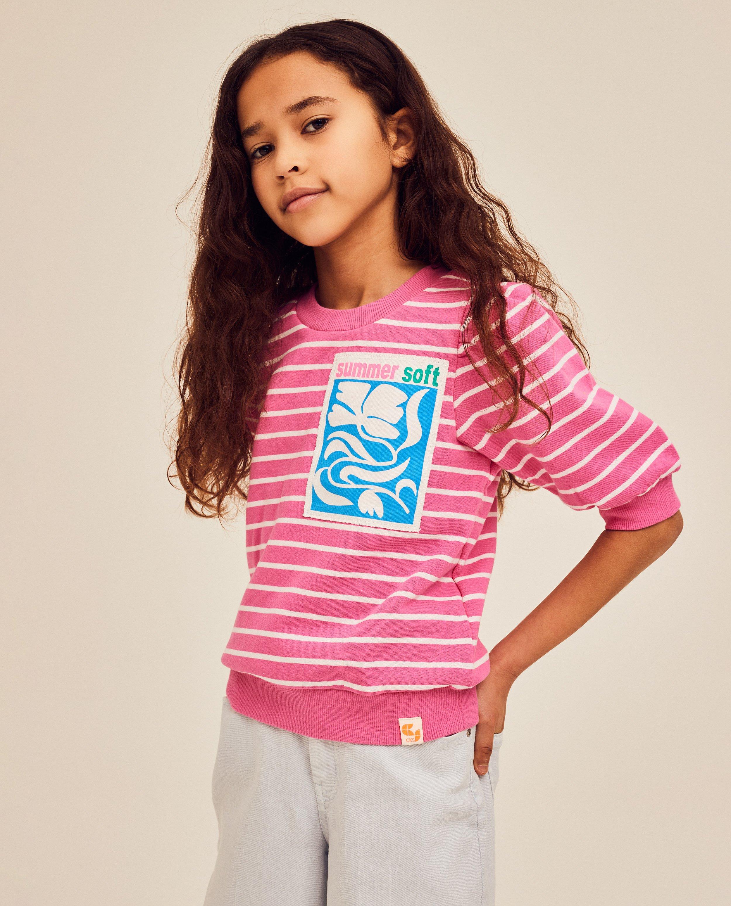 Sweaters - Roze sweater met strepen