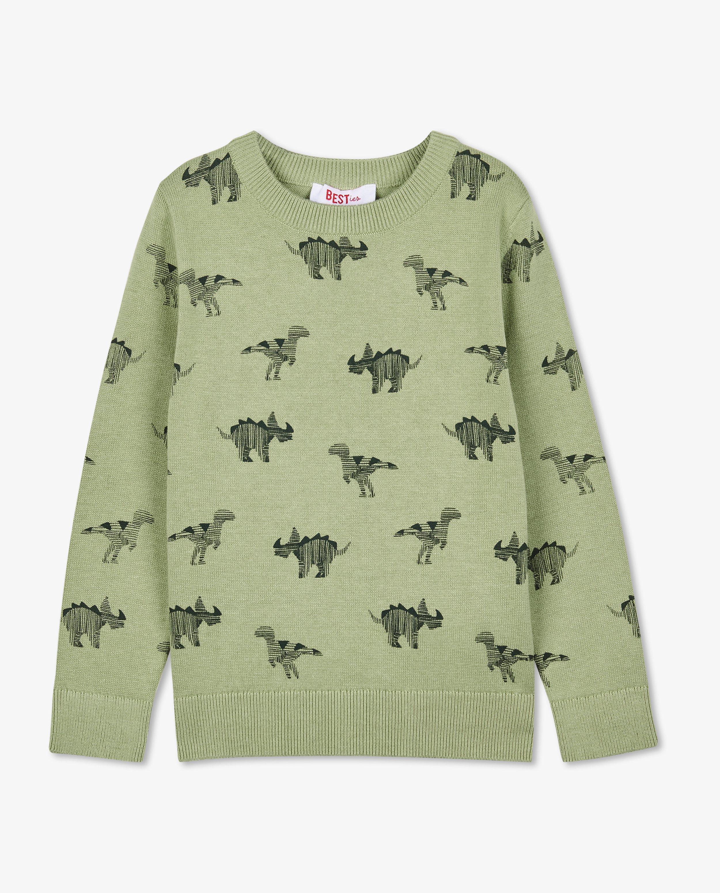 Truien - Trui met dinoprint