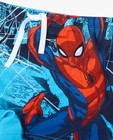 Zwemkleding - Zwembroek Spider-Man