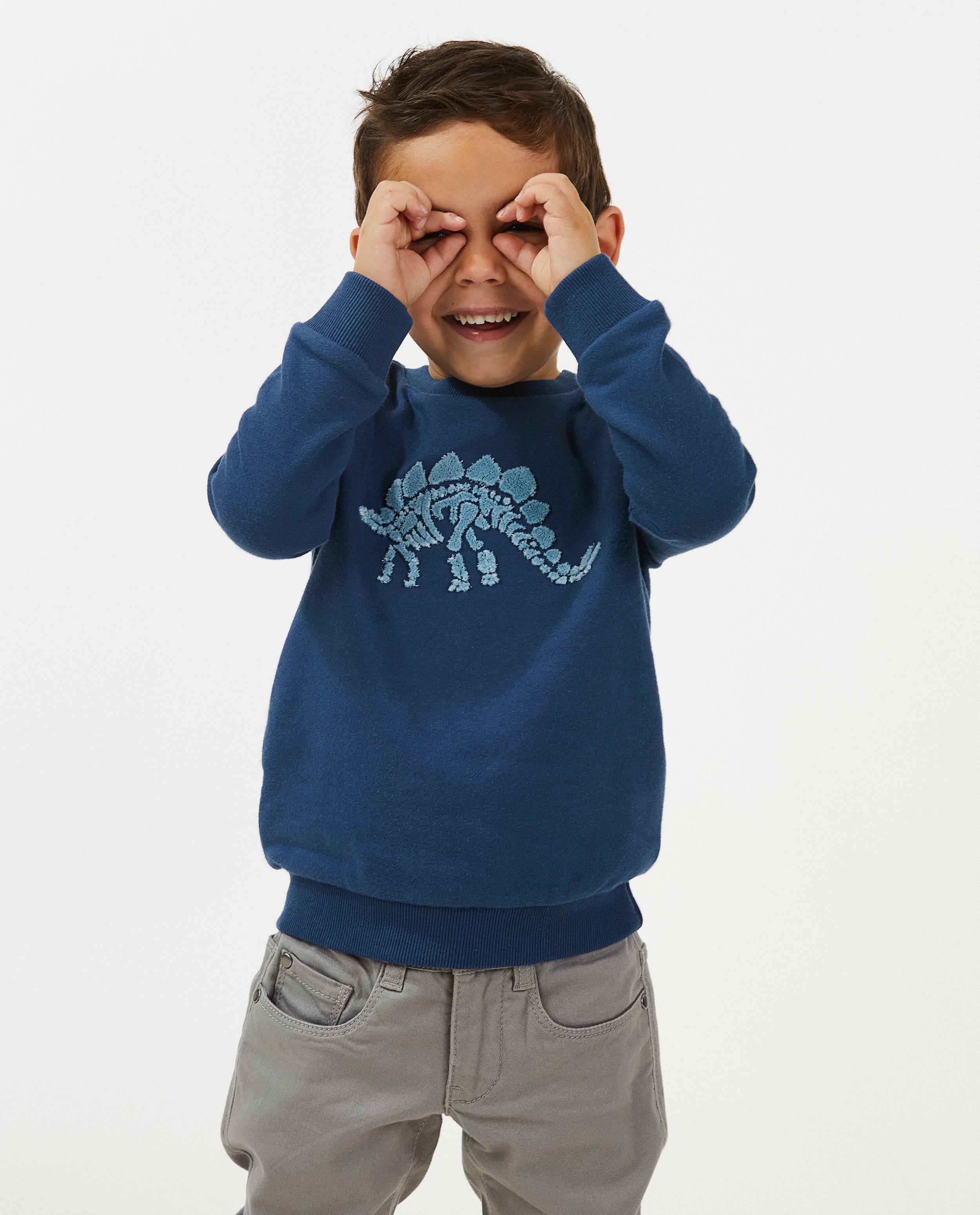 Sweaters - Sweater met speciale print
