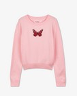 Truien - Roze trui met vlinder