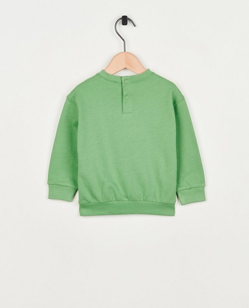 Gemaakt om te onthouden Baron residu Groene sweater