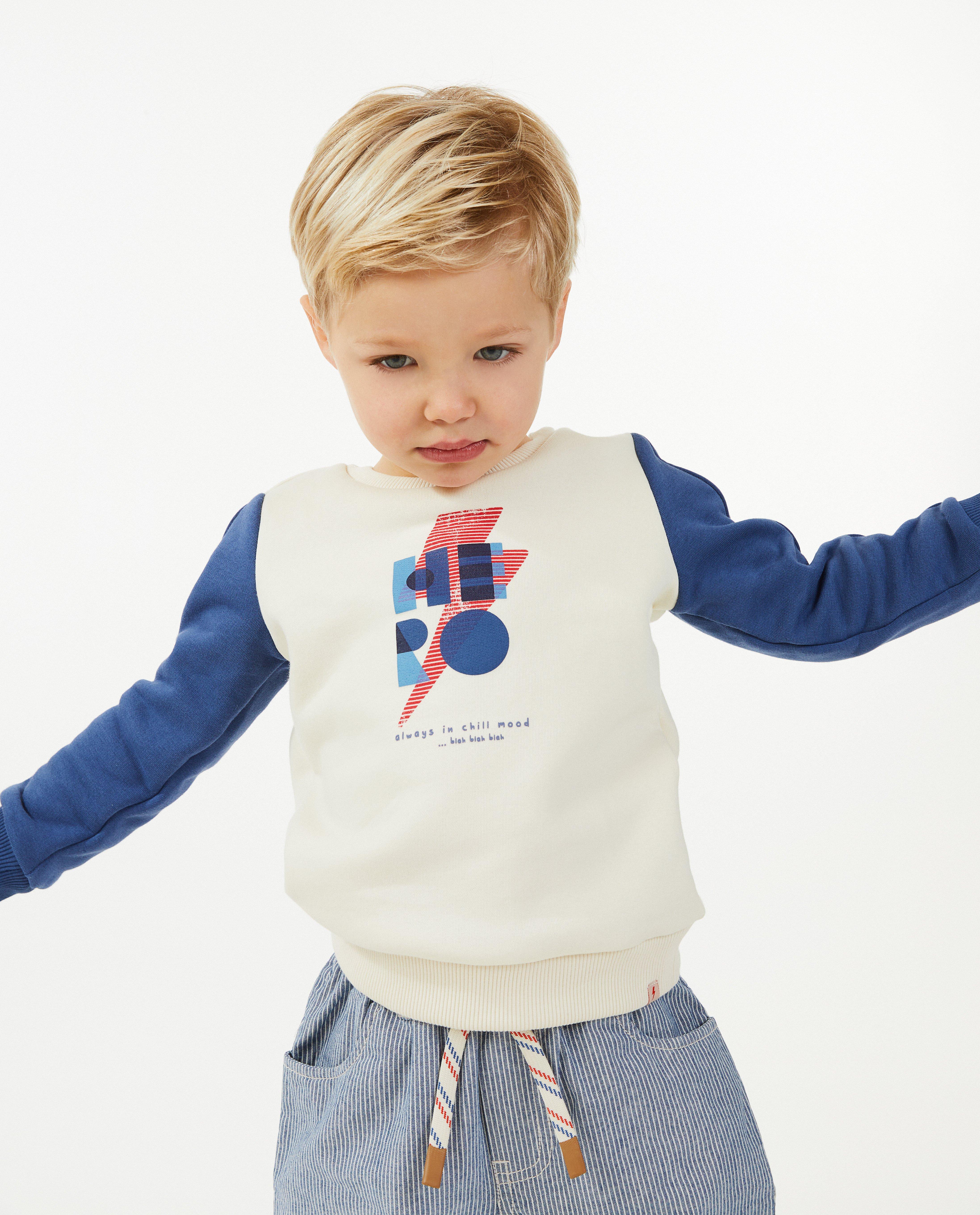 Sweaters - Sweater met print