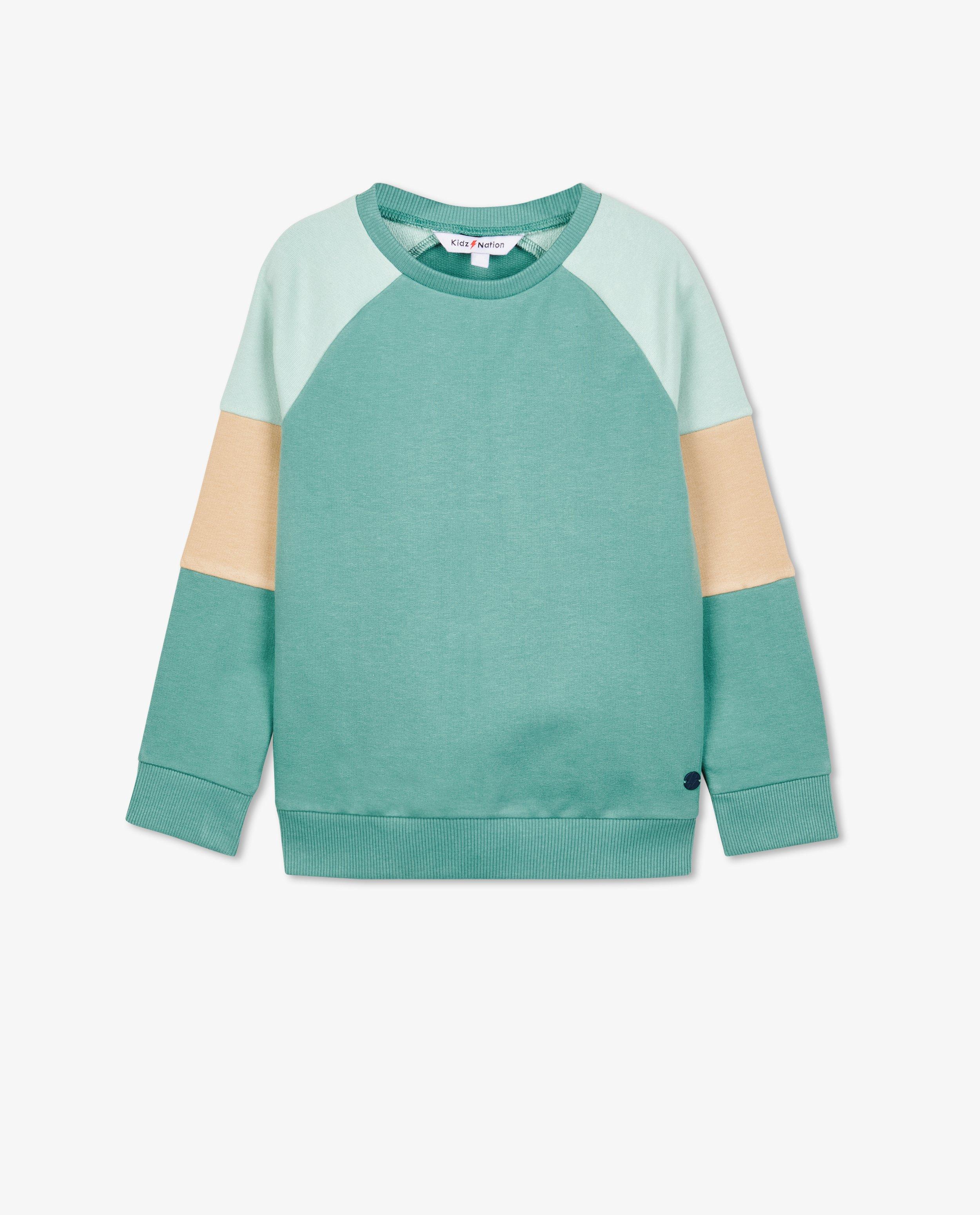 Sweaters - Sweater met color block