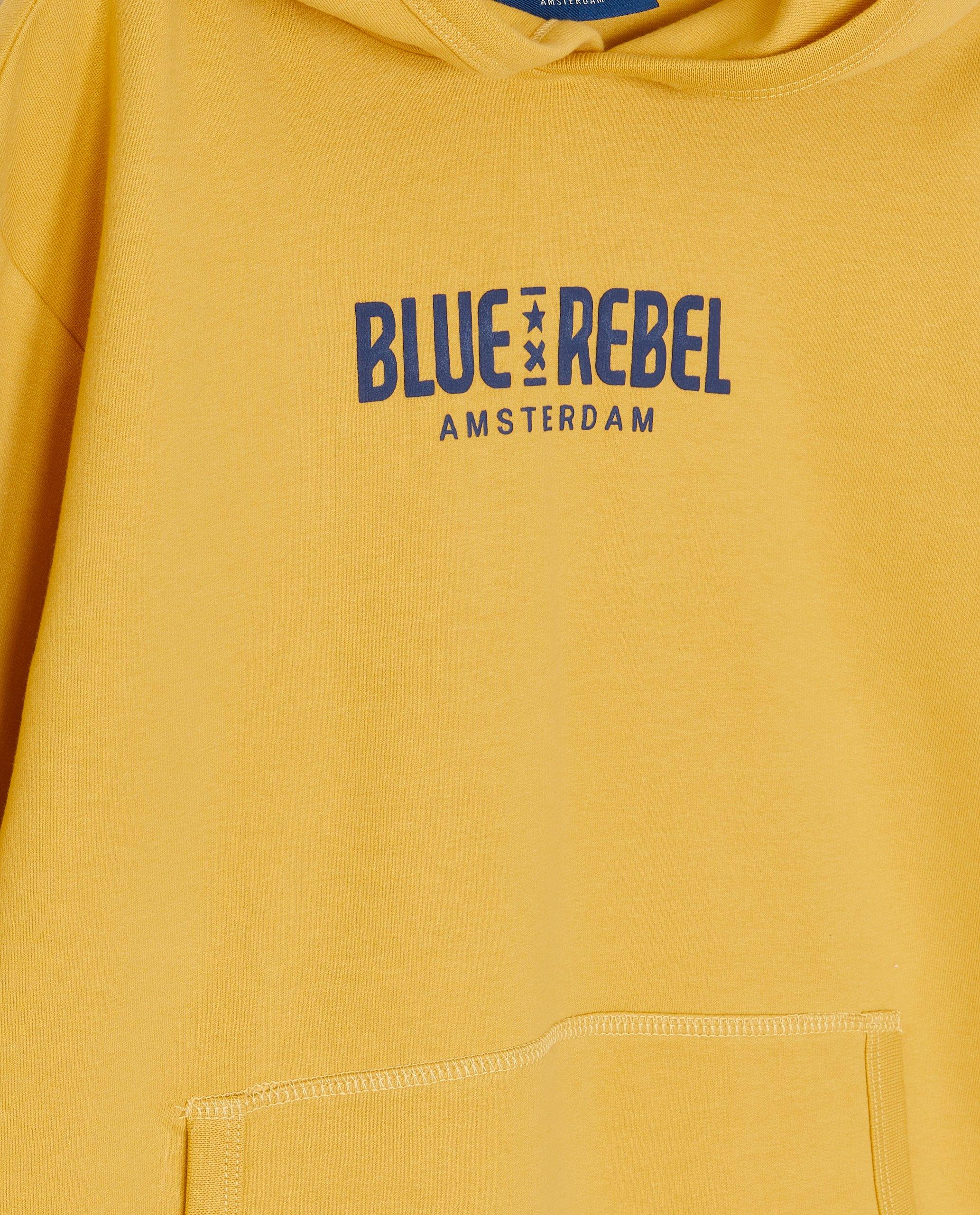Sweaters - Hoodie met print