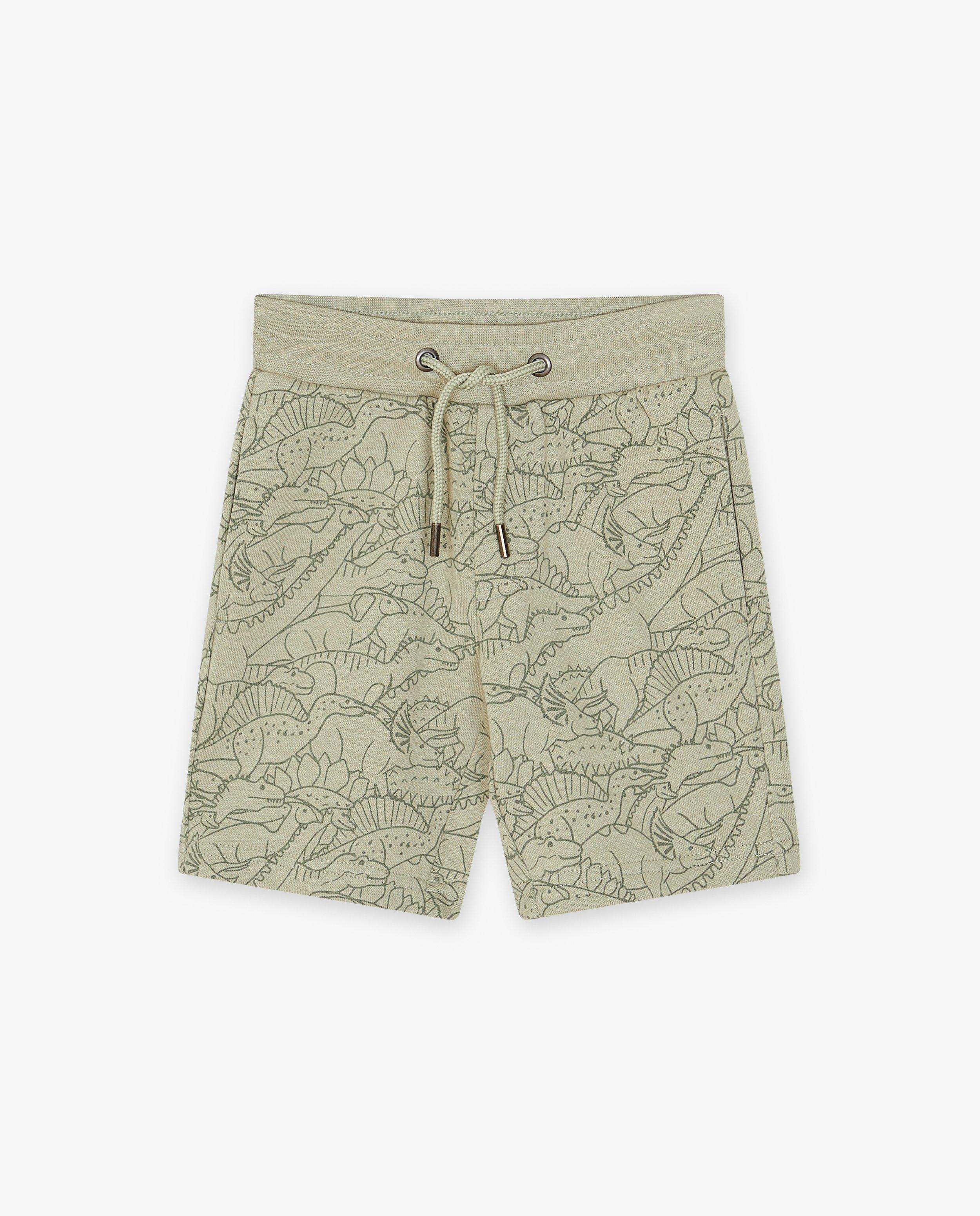 Shorten - Short met dinoprint