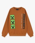 Sweaters - Bruine sweater Minecraft