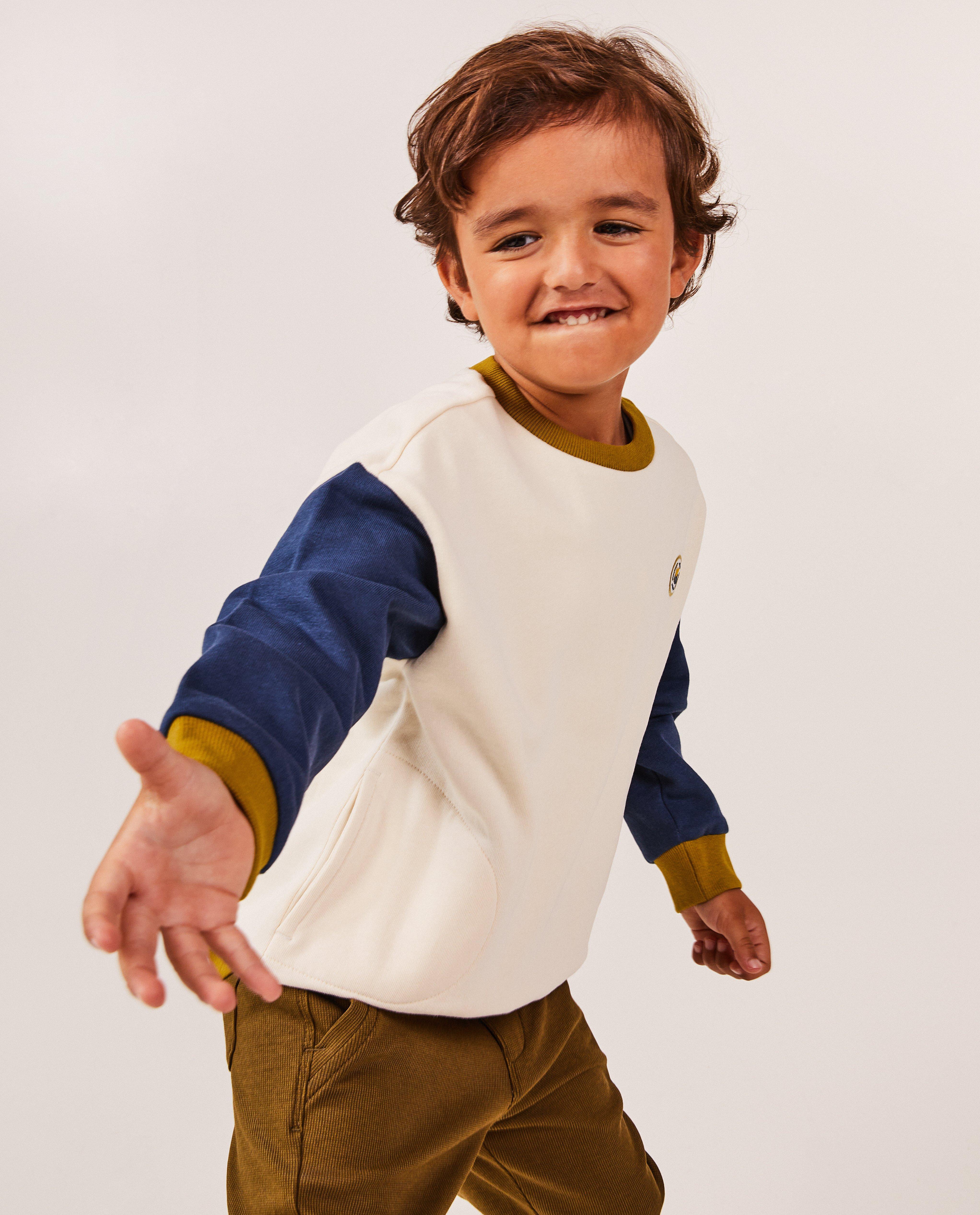 Sweaters - Sweater met color block