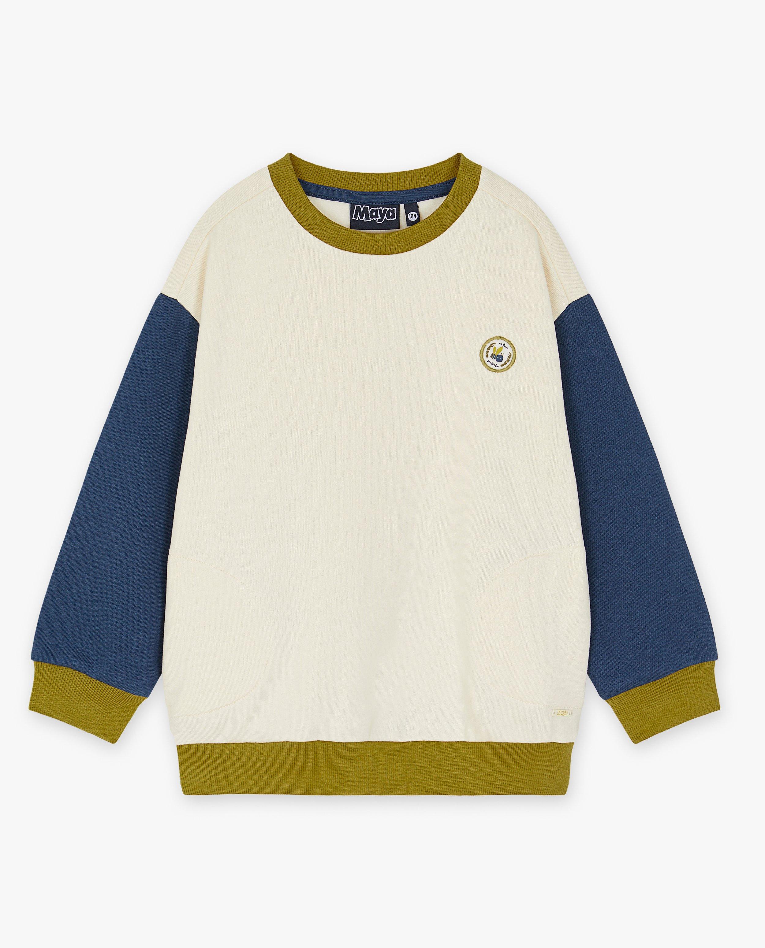 Sweaters - Sweater met color block