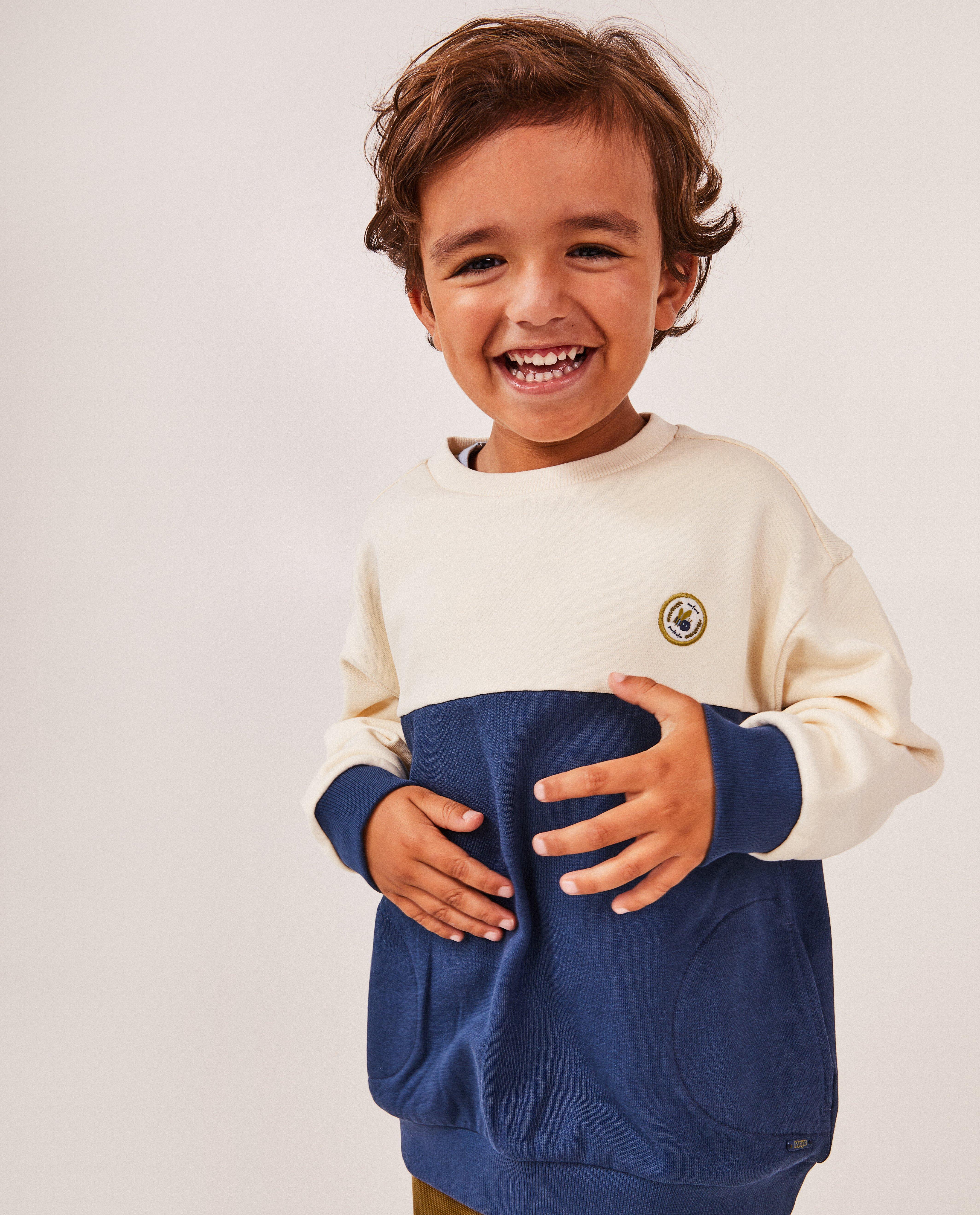 Sweaters - Sweater met color block