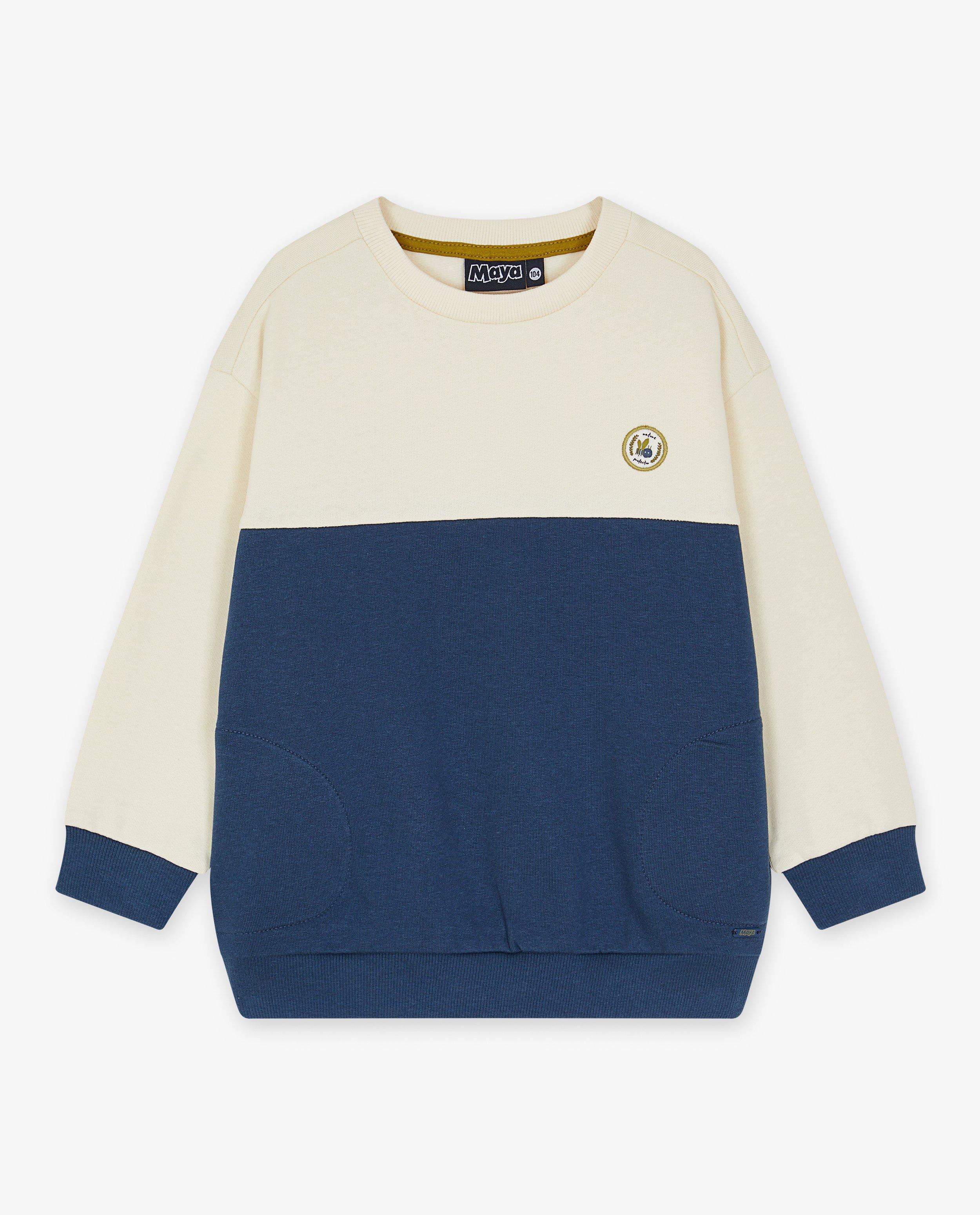 Sweaters - Sweater met color block