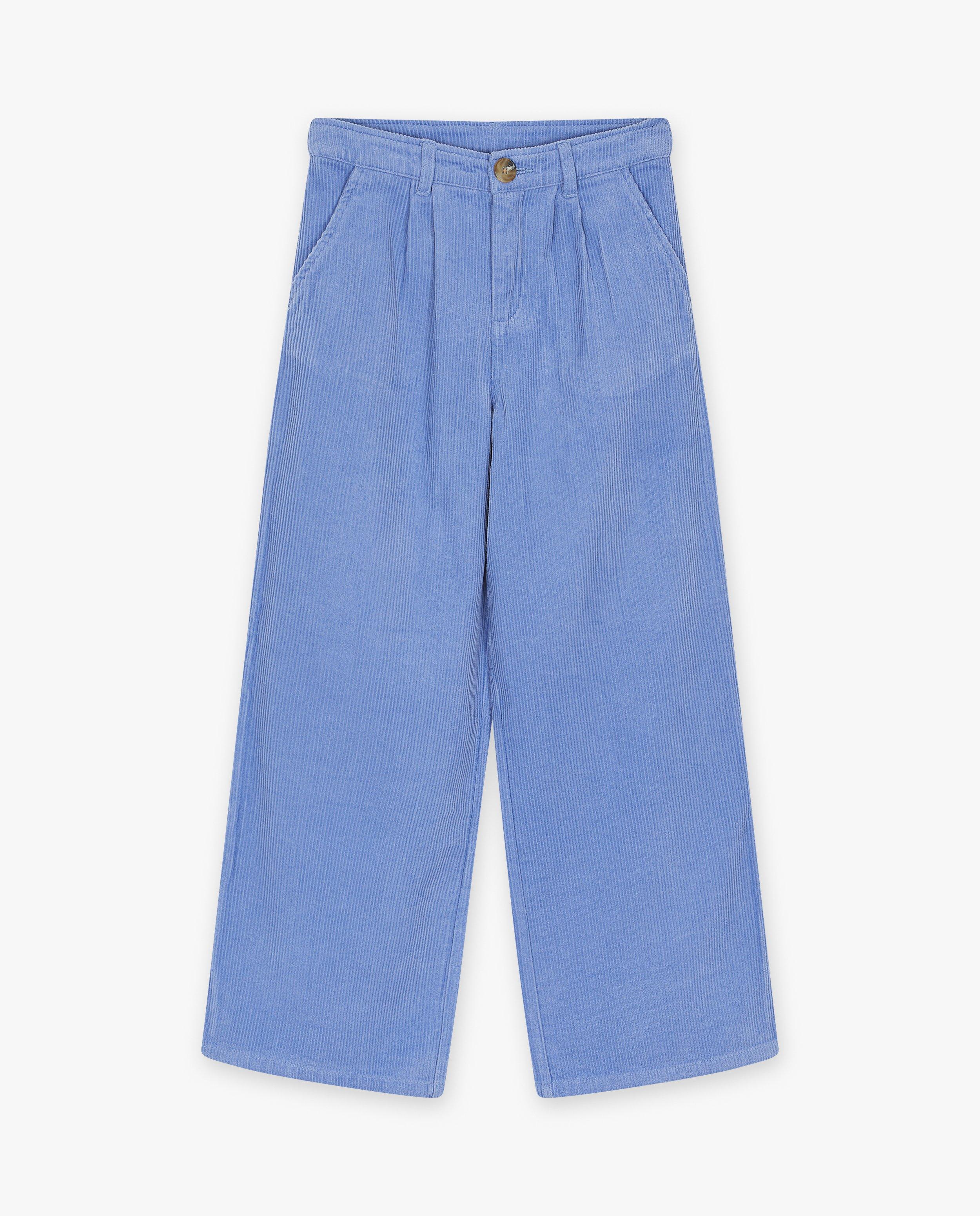 Pantalons - Pantalon bleu en velours côtelé