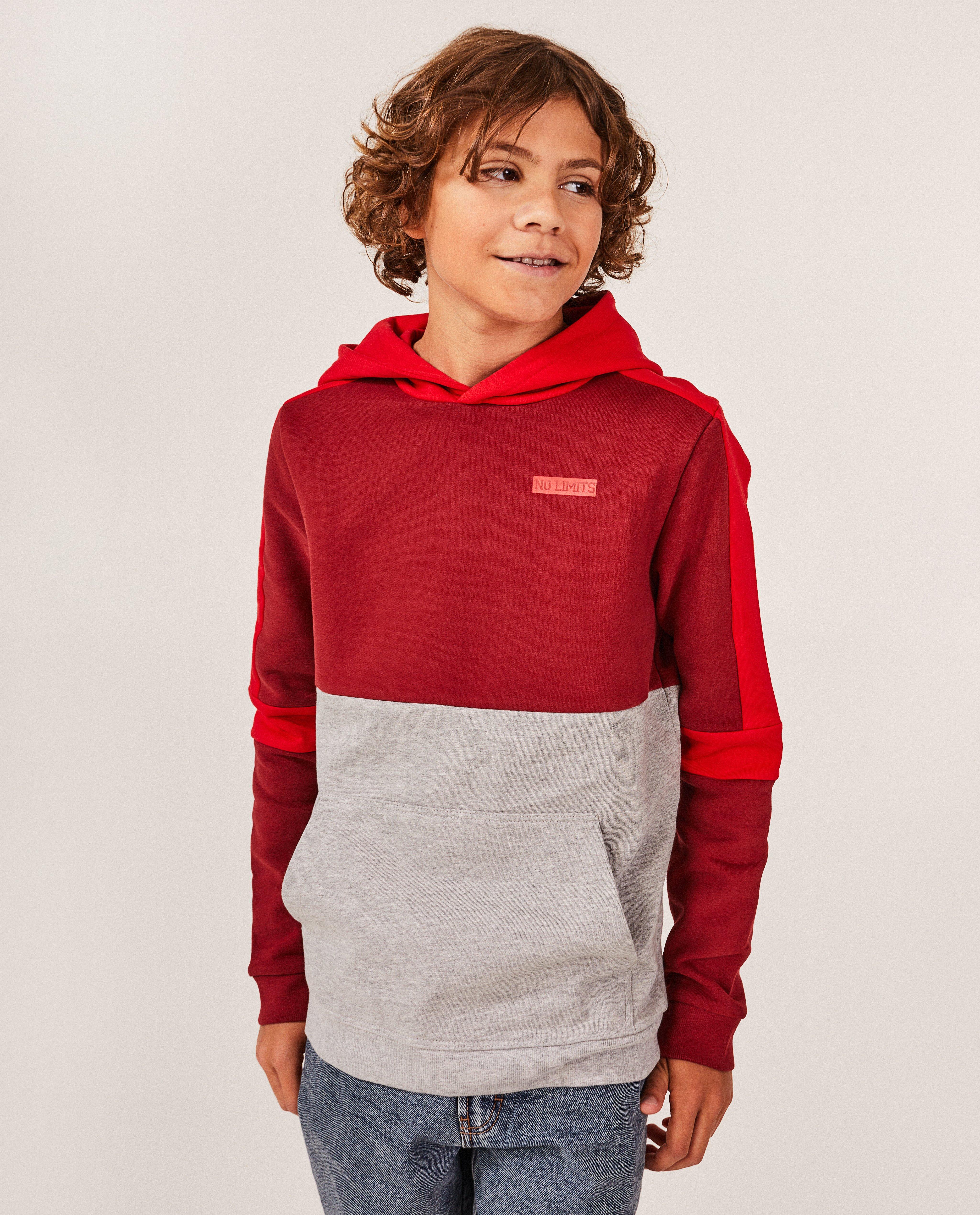 Sweaters - Hoodie met color block