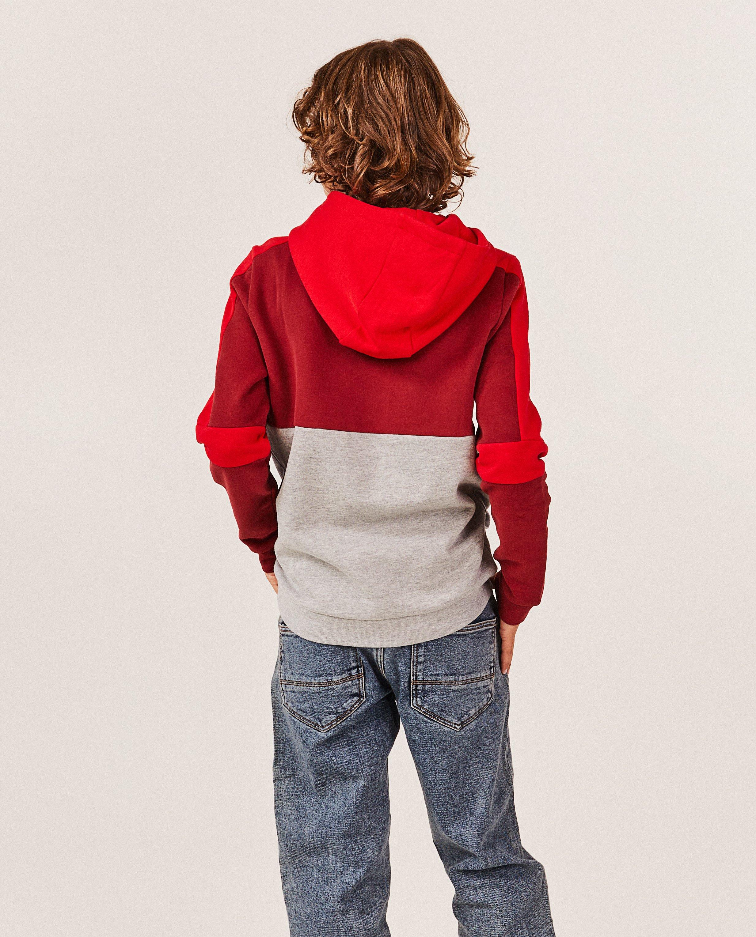 Sweaters - Hoodie met color block