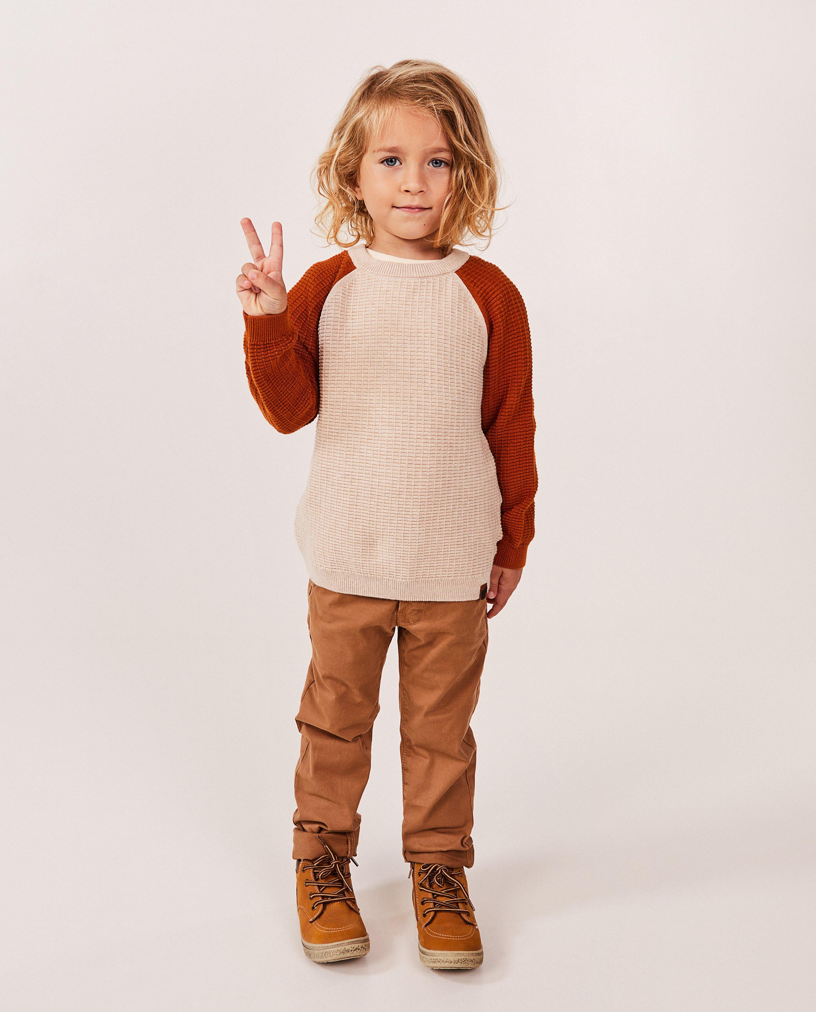 Pull en tricot avec color block - null - Fred & Samson