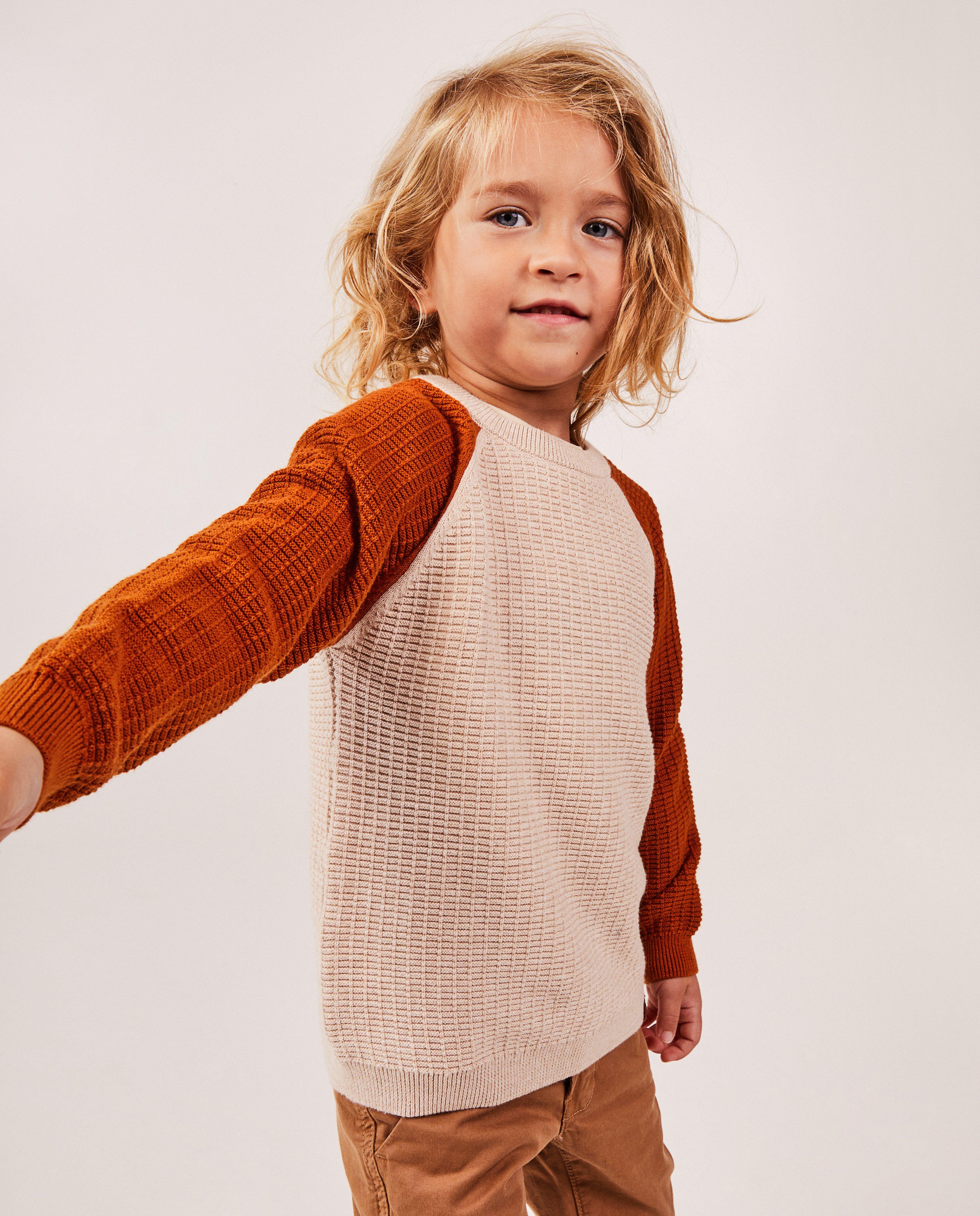 Pulls - Pull en tricot avec color block