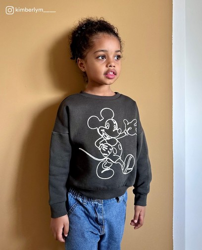 Sweater met borduursel Mickey, 2-7 jaar