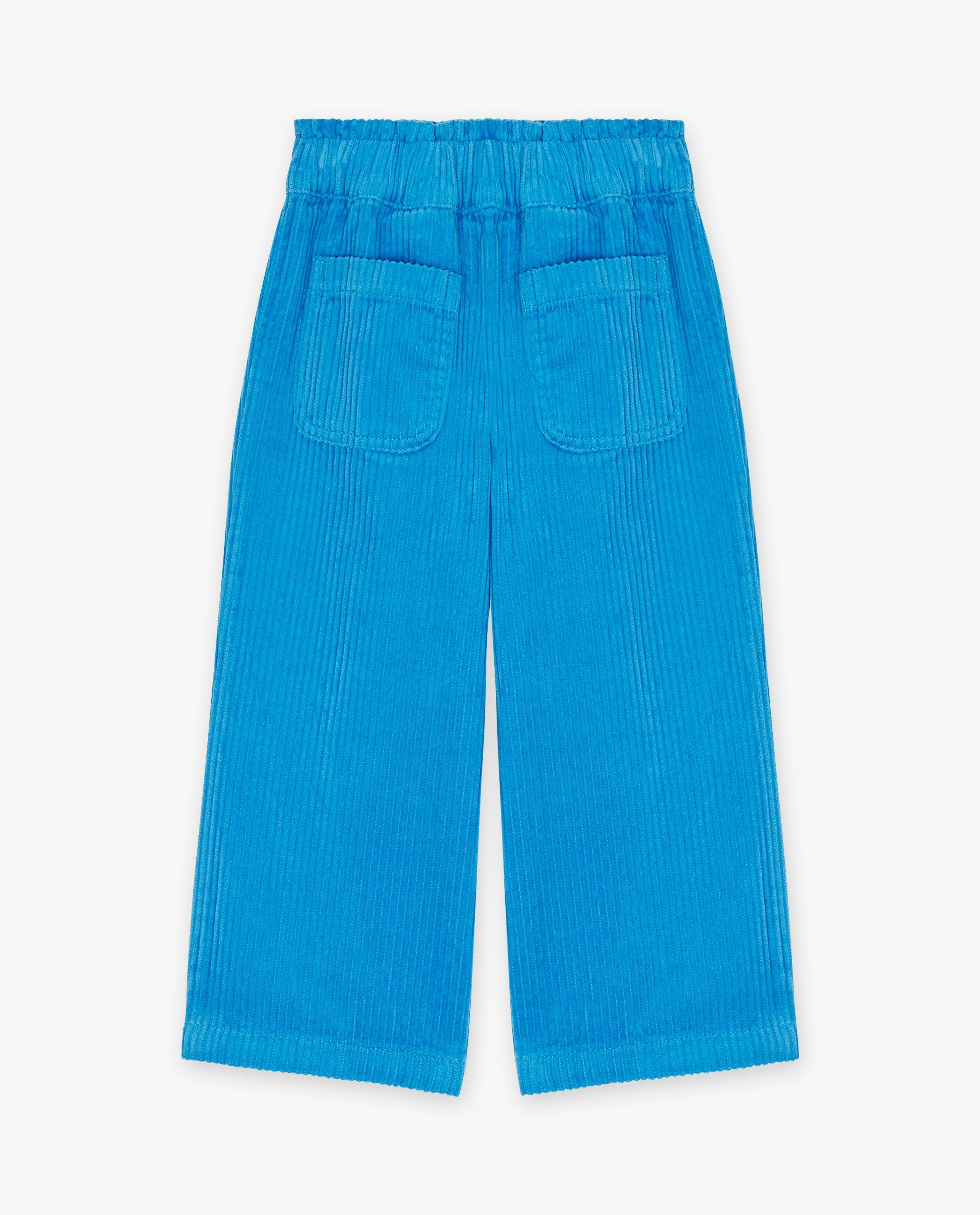 Pantalons - Pantalon bleu en velours côtelé