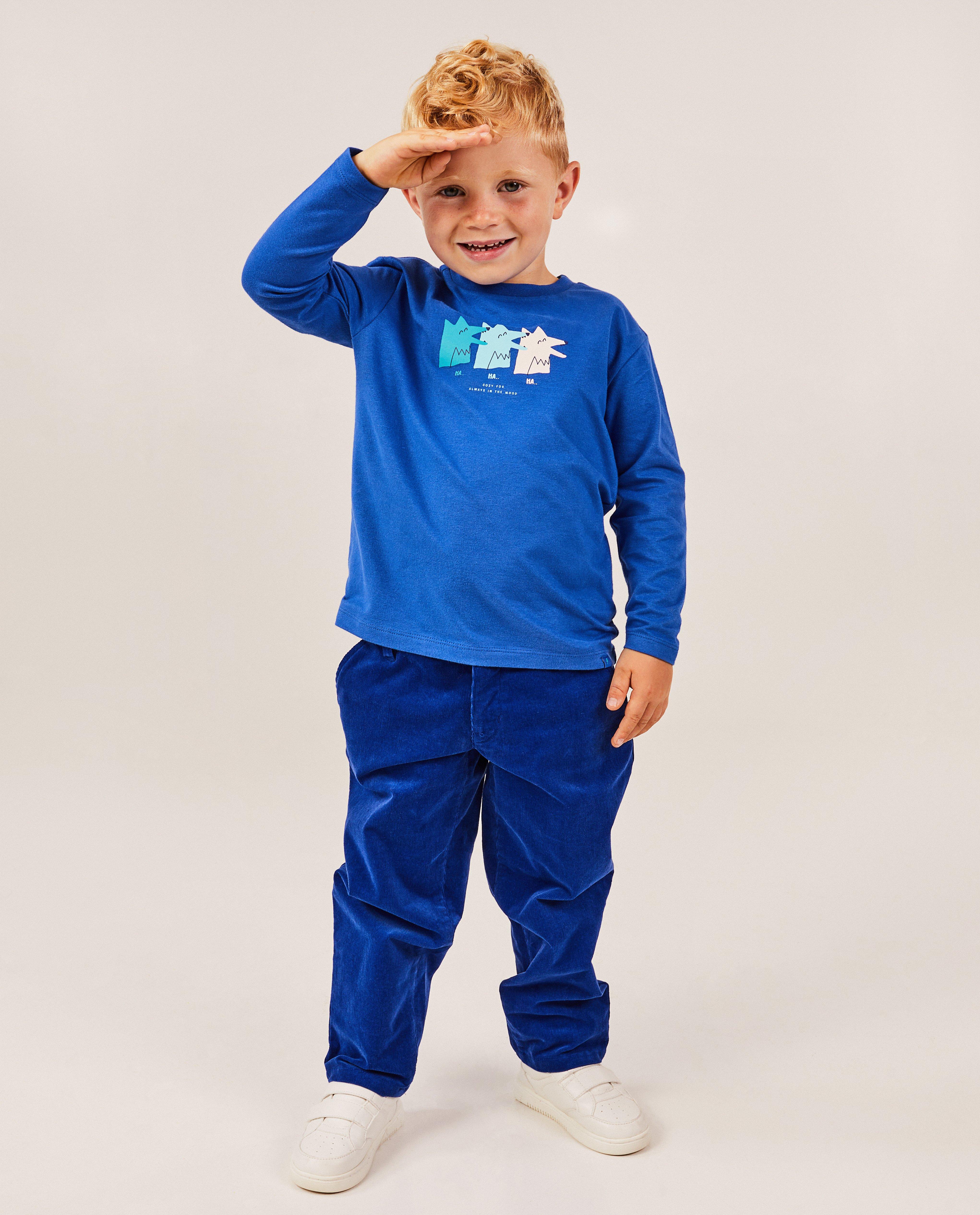 Broeken - Blauwe broek van ribfluweel