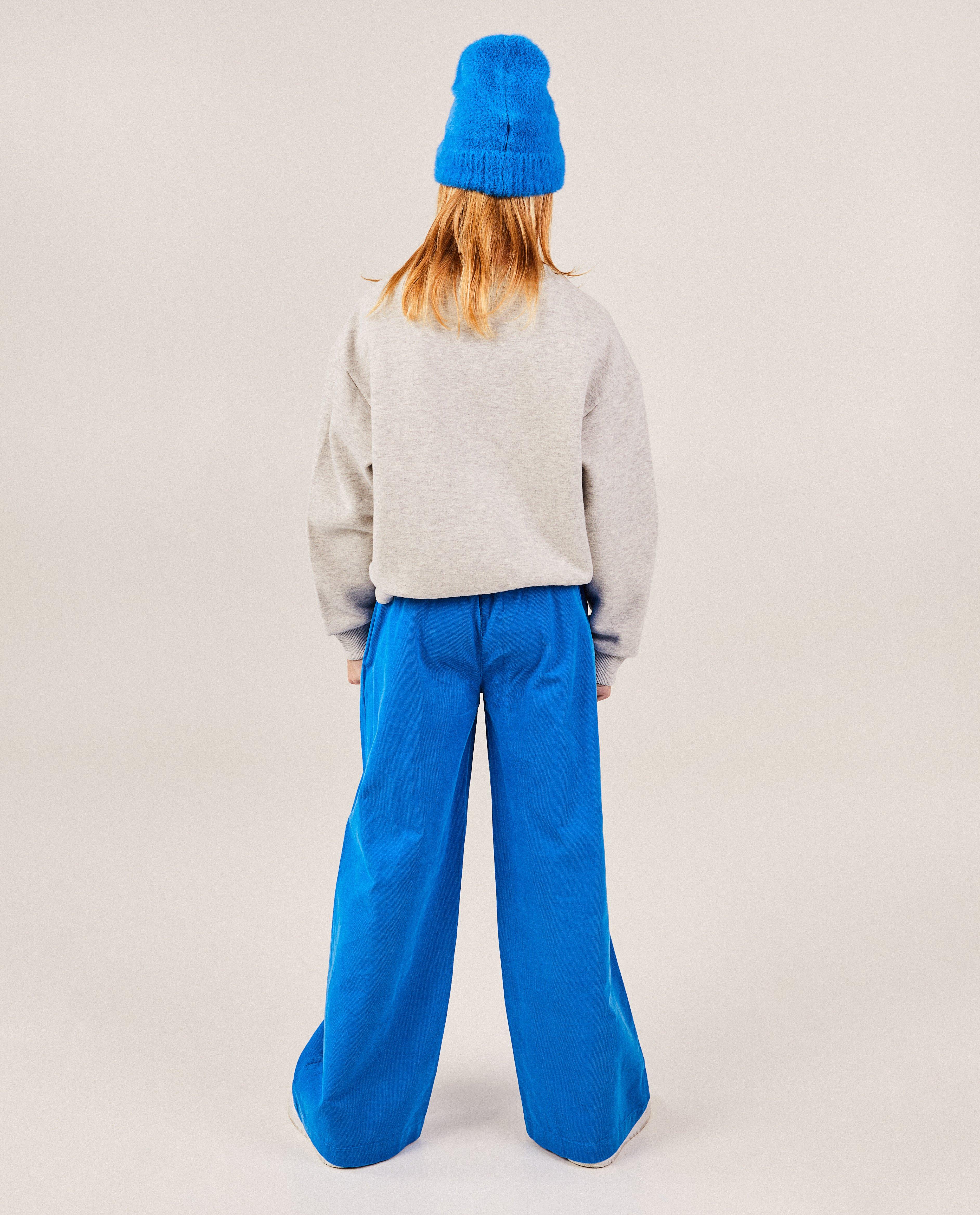Broeken - Blauwe broek van ribfluweel